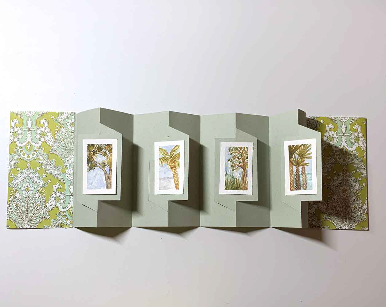 Punta Gorda Trees Accordion Gallery