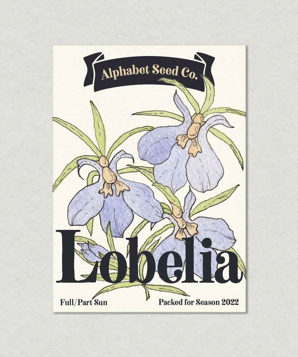 Lobelia Seed Packet