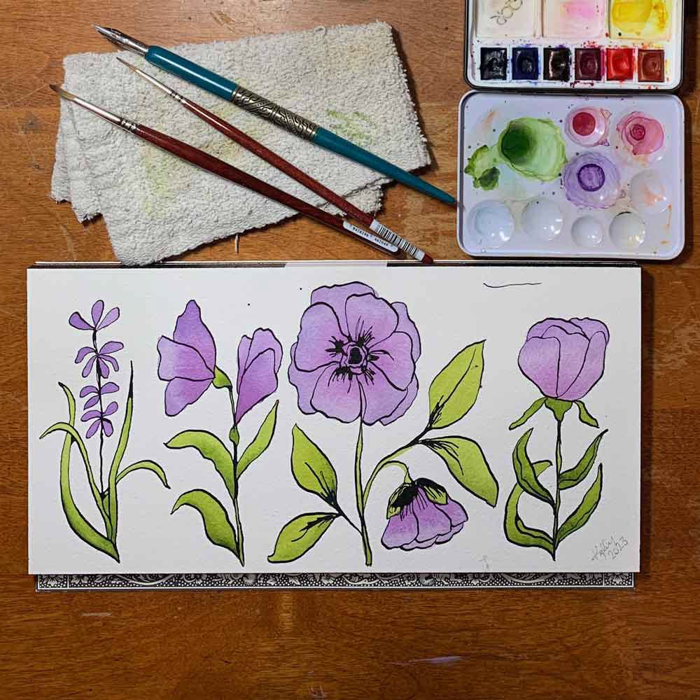 Anemone Illustrations