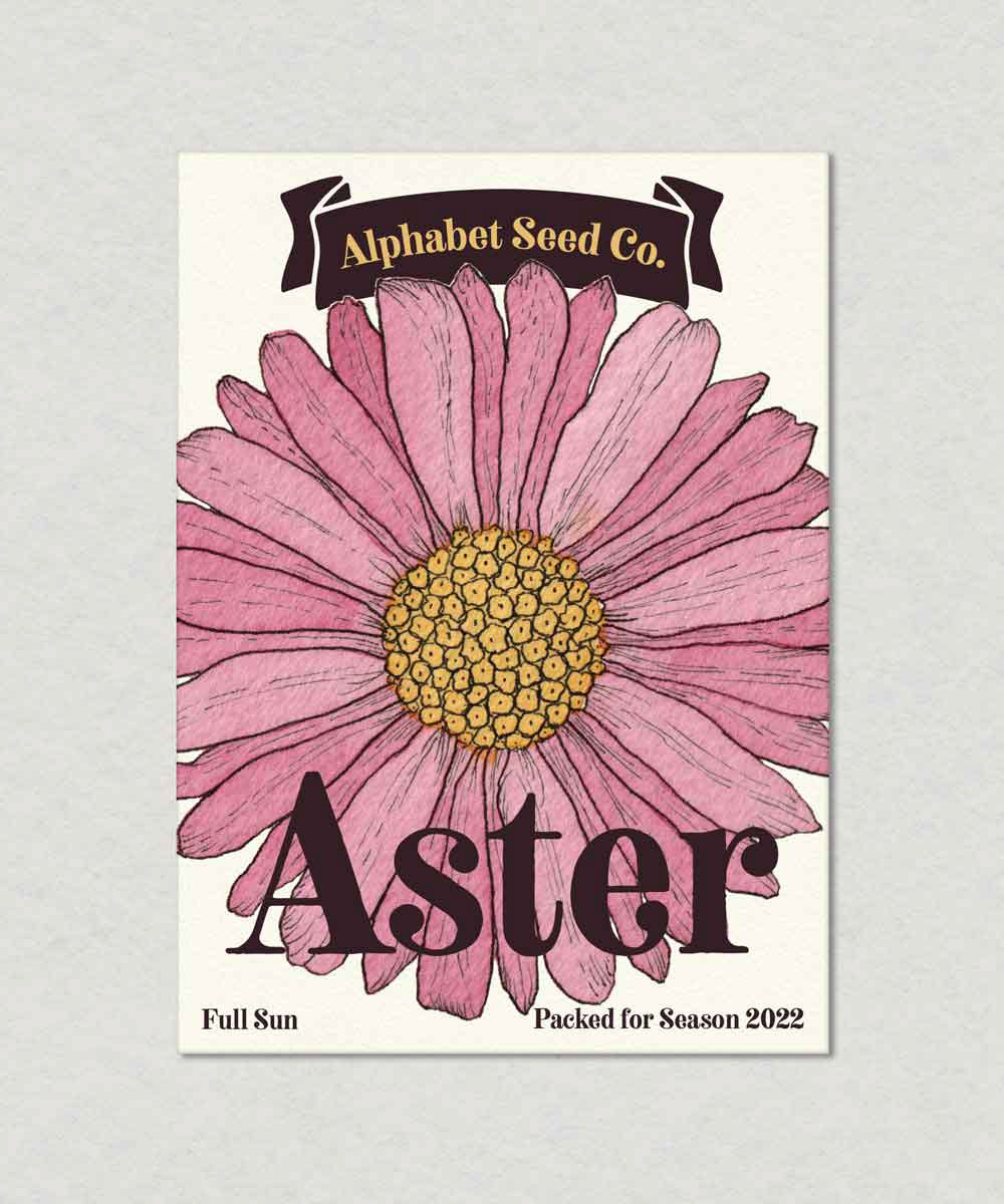 Aster Seed Packet