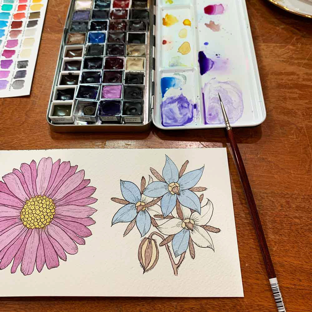 Seed Packet WIP