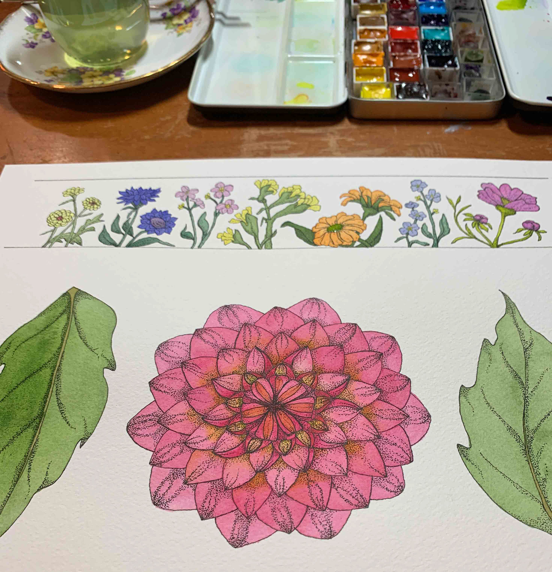 Floral Illustrations WIP