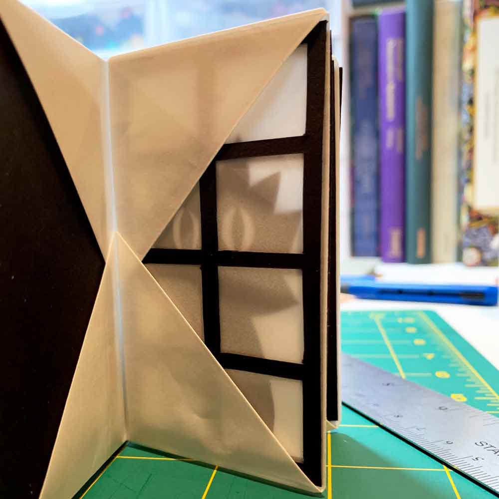 Monsters Looking in Windows Book