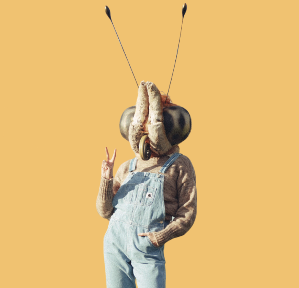 Fotonachweis: Bioland
