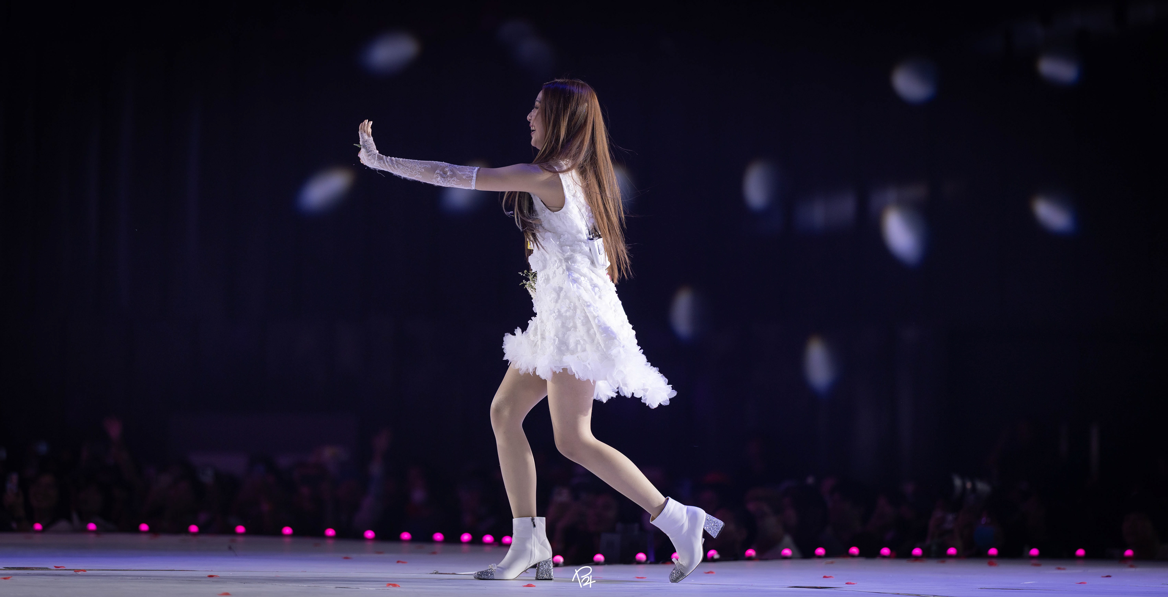 Blush Blossom Fan Fest