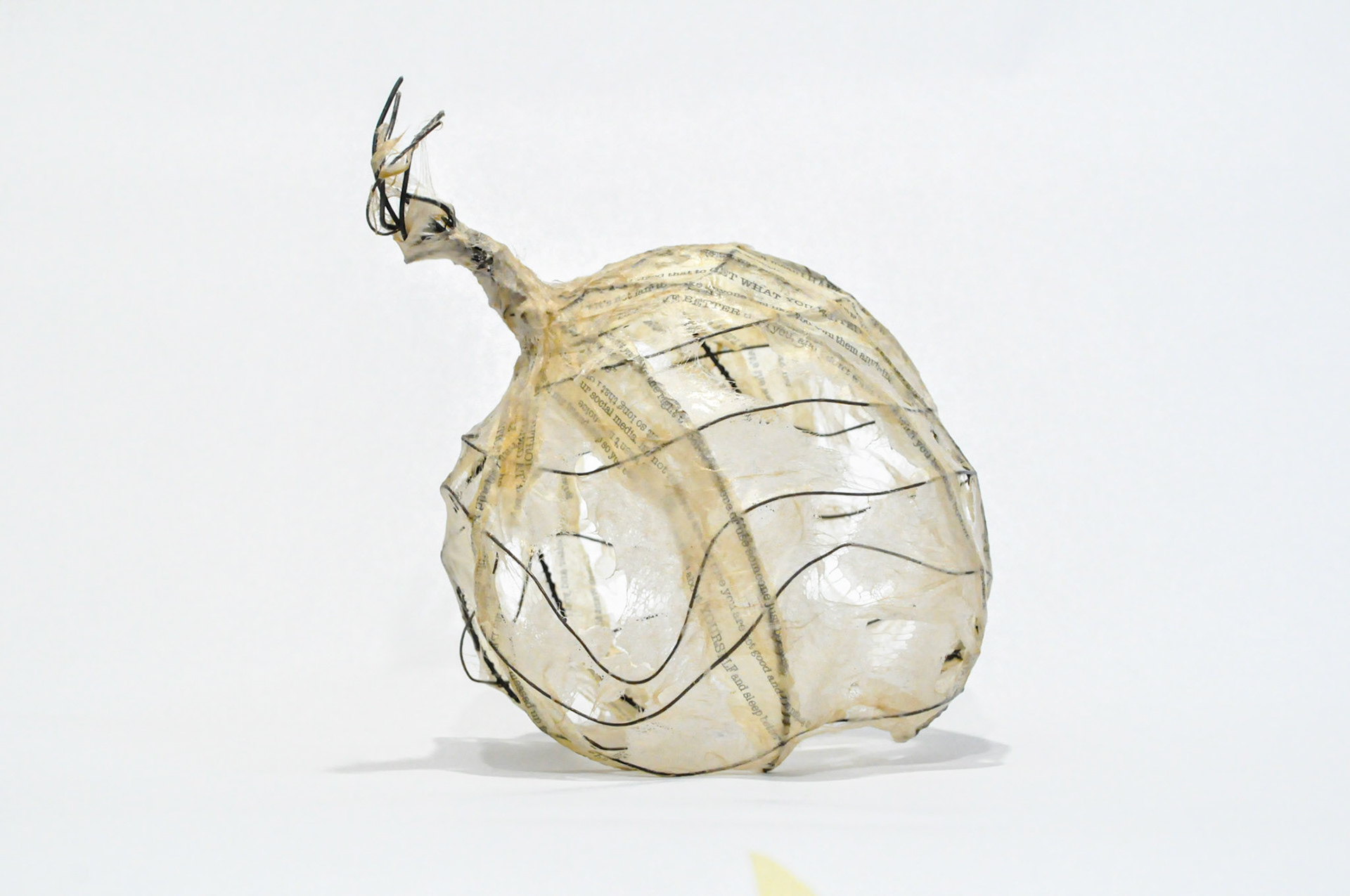 Height: 9 in x Circumference 22 in 