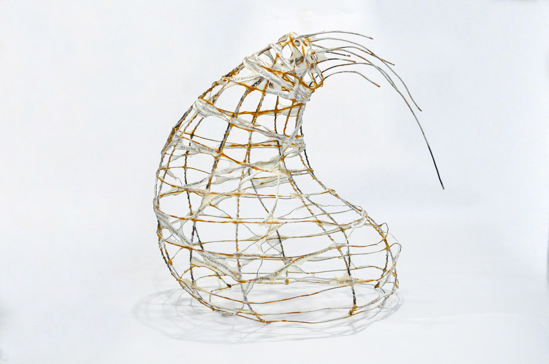 Height 13.5 in x Circumference: 33 in