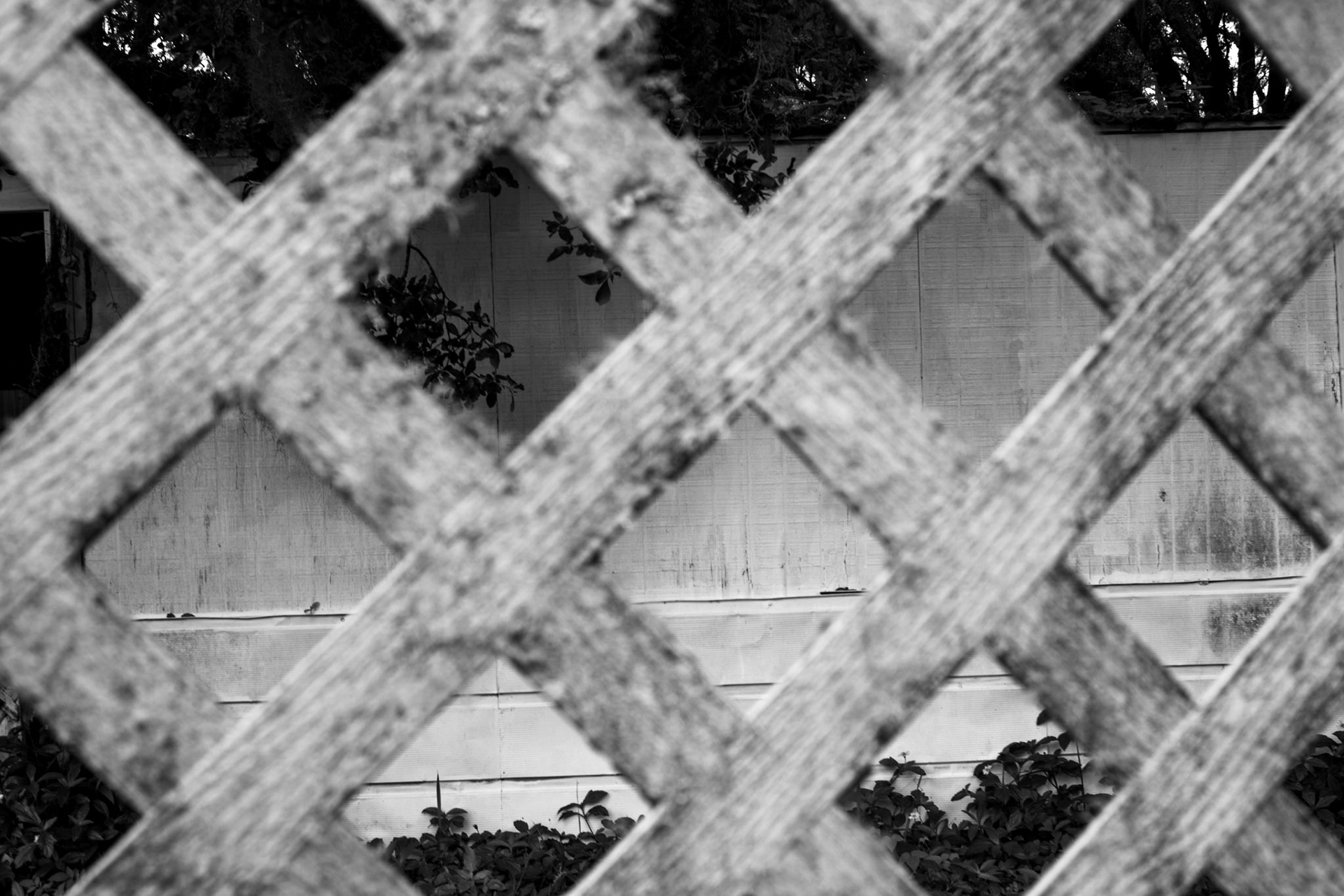 Old House Lattice in Ocean Way