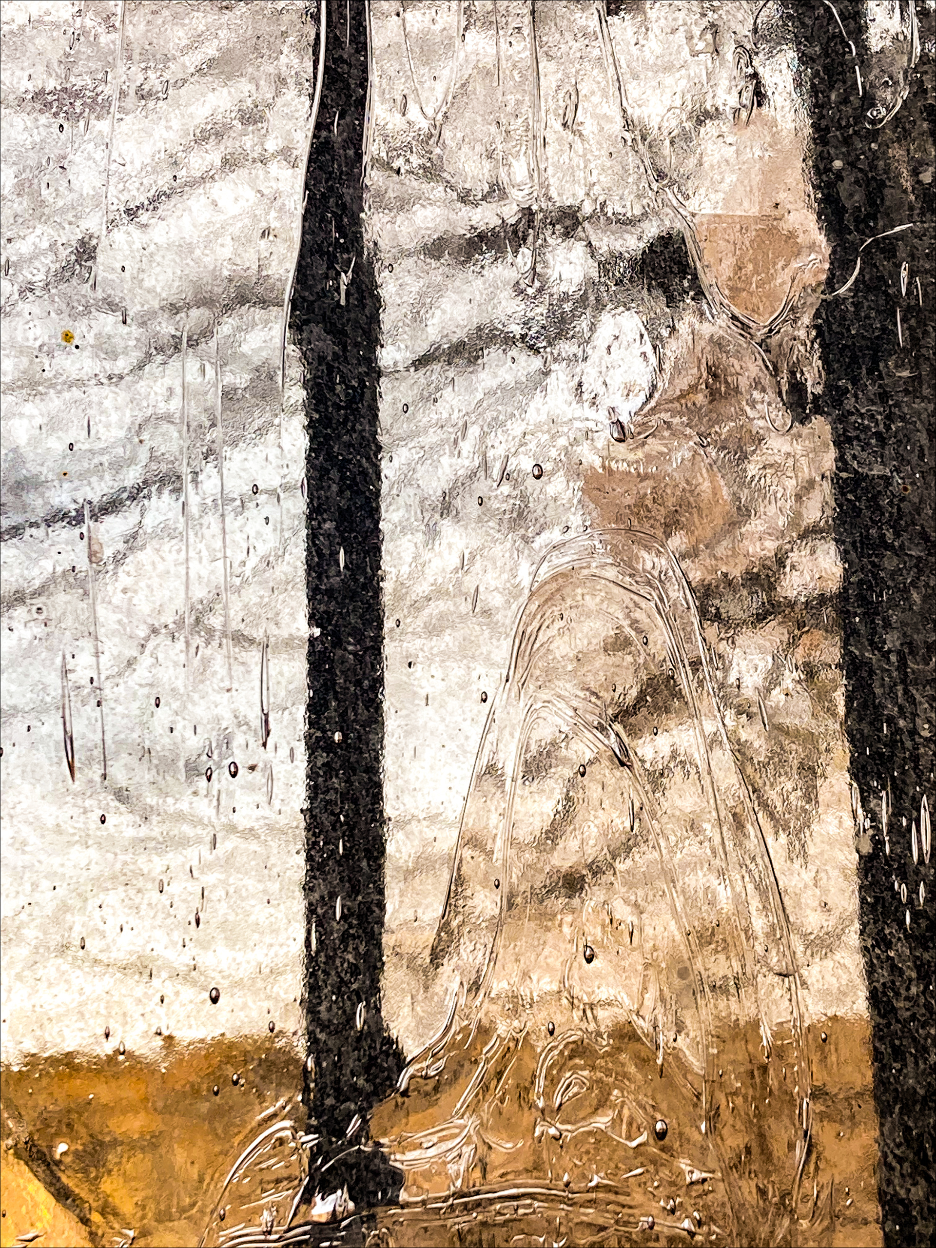 Icy surface with reflections of bare trees and shadows on a winter morning