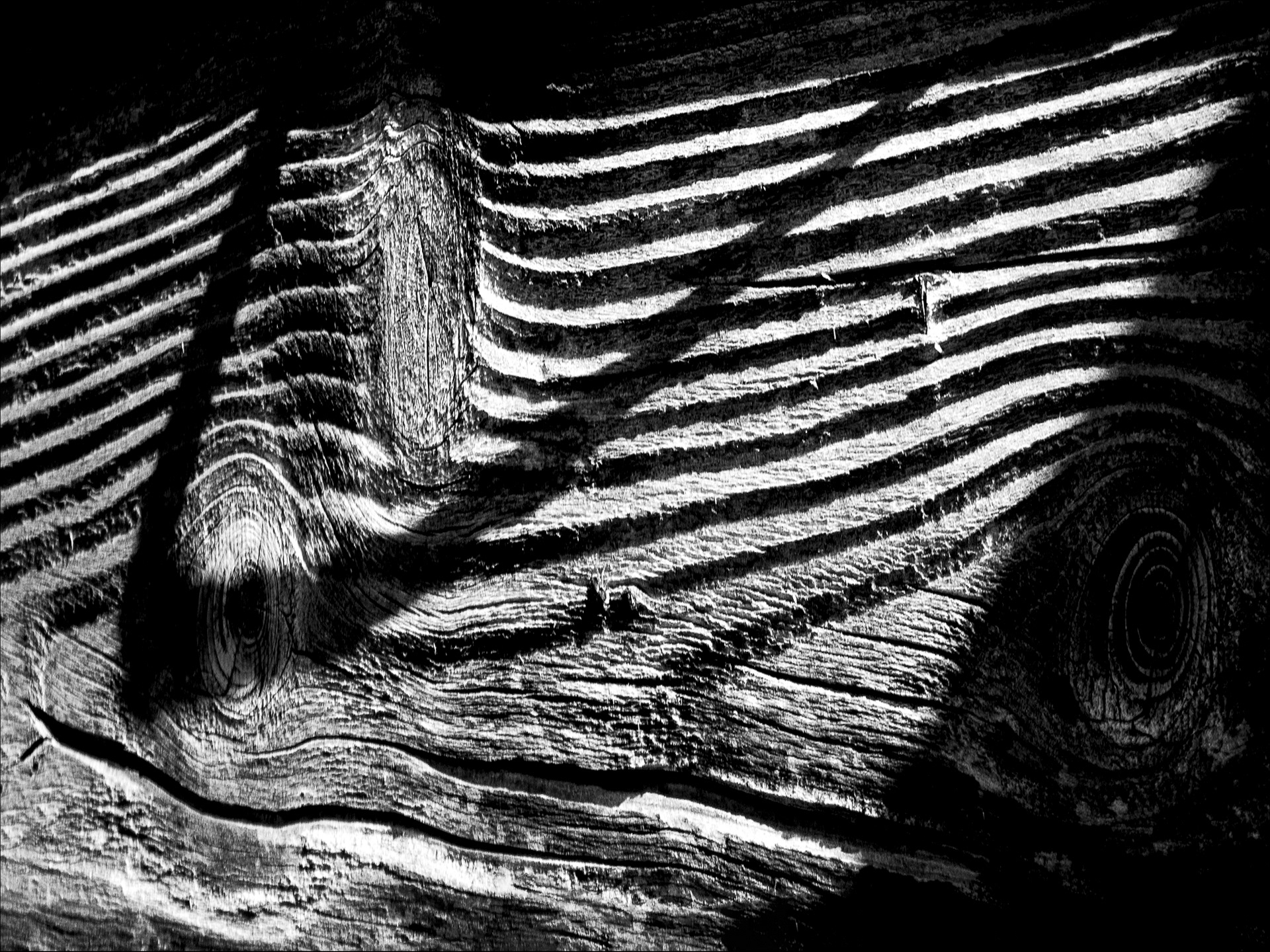 Il mito della caverna | ©2023