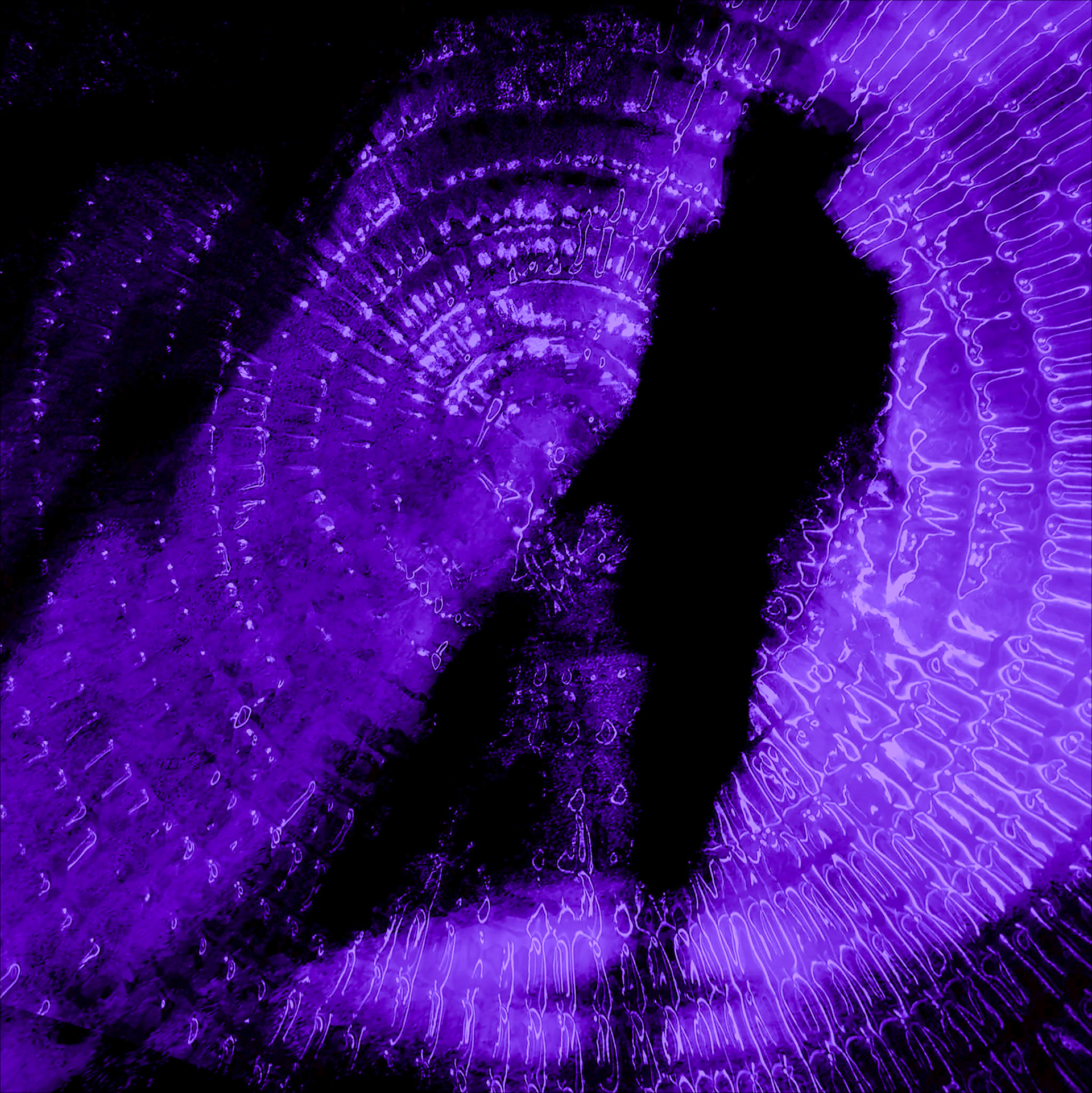 Walking in the Purple Room ©2020