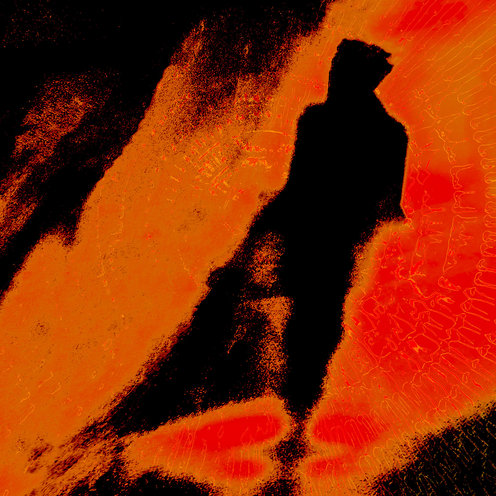 A shadow on a luminous surface, inspired by an invisible web and fiery red tones.