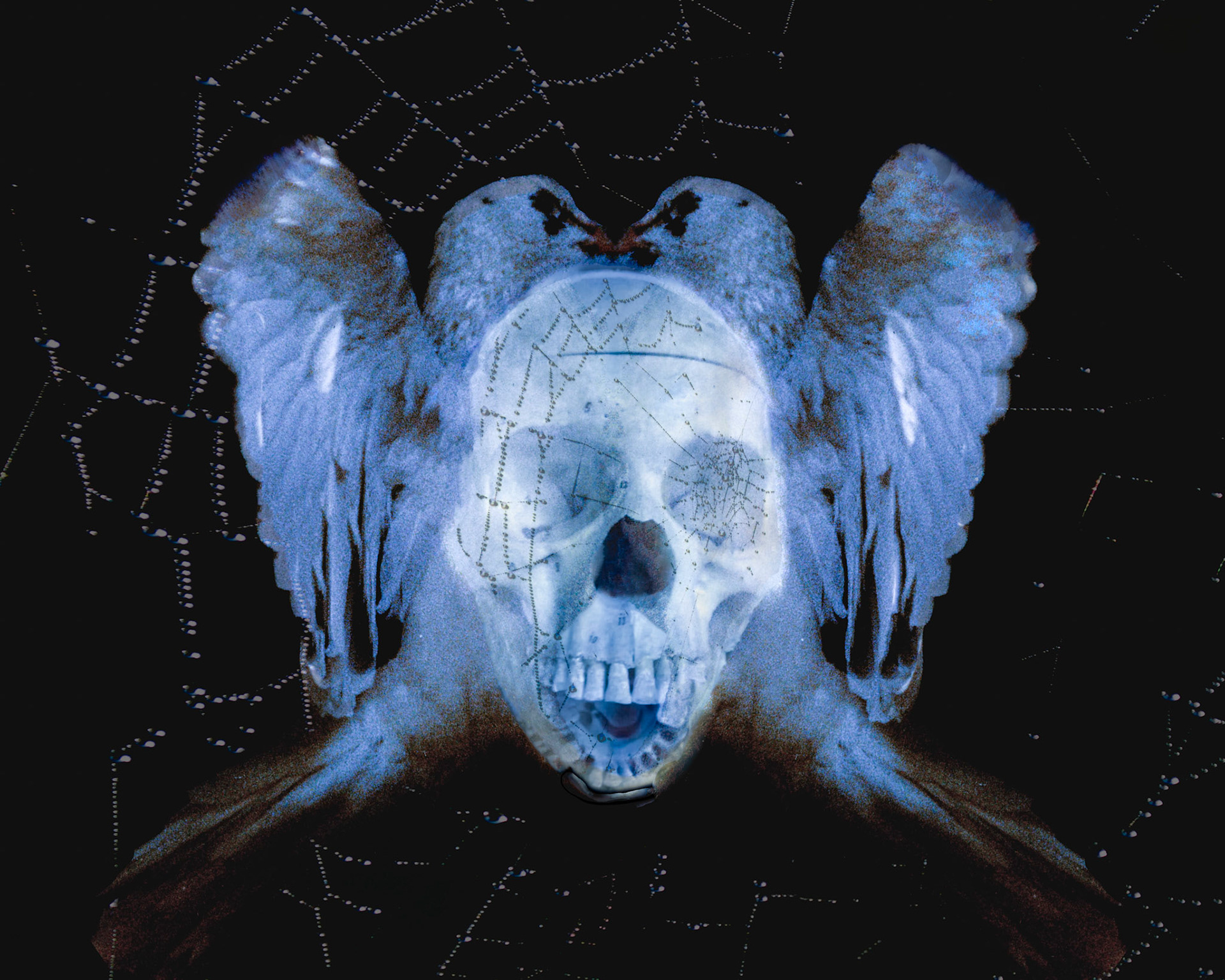 “Not Nothing”…or Ignorance in power | ©2019