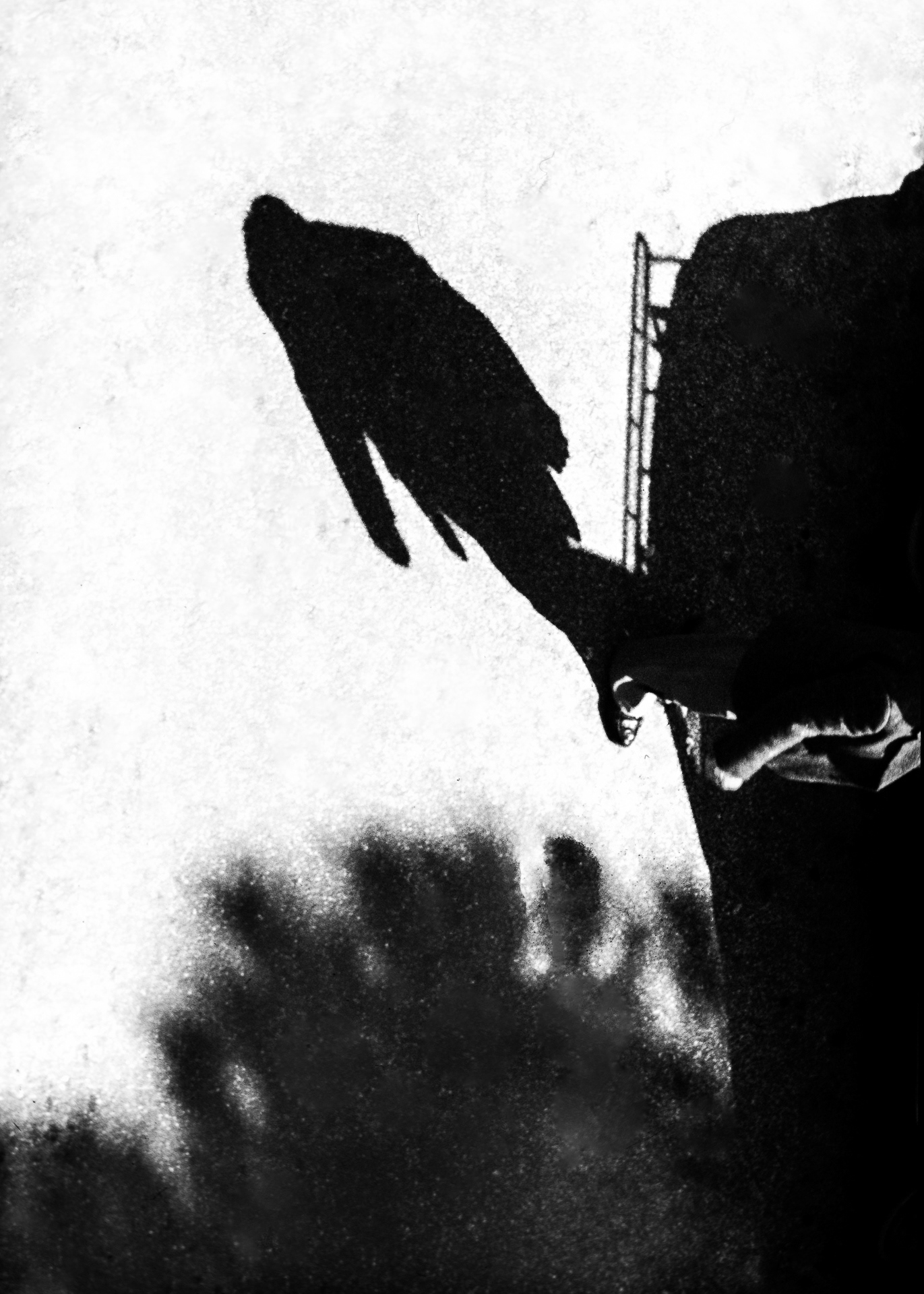 A shadow stretches in the urban sunset, merging with the vegetation and creating an atmosphere of tension and mystery