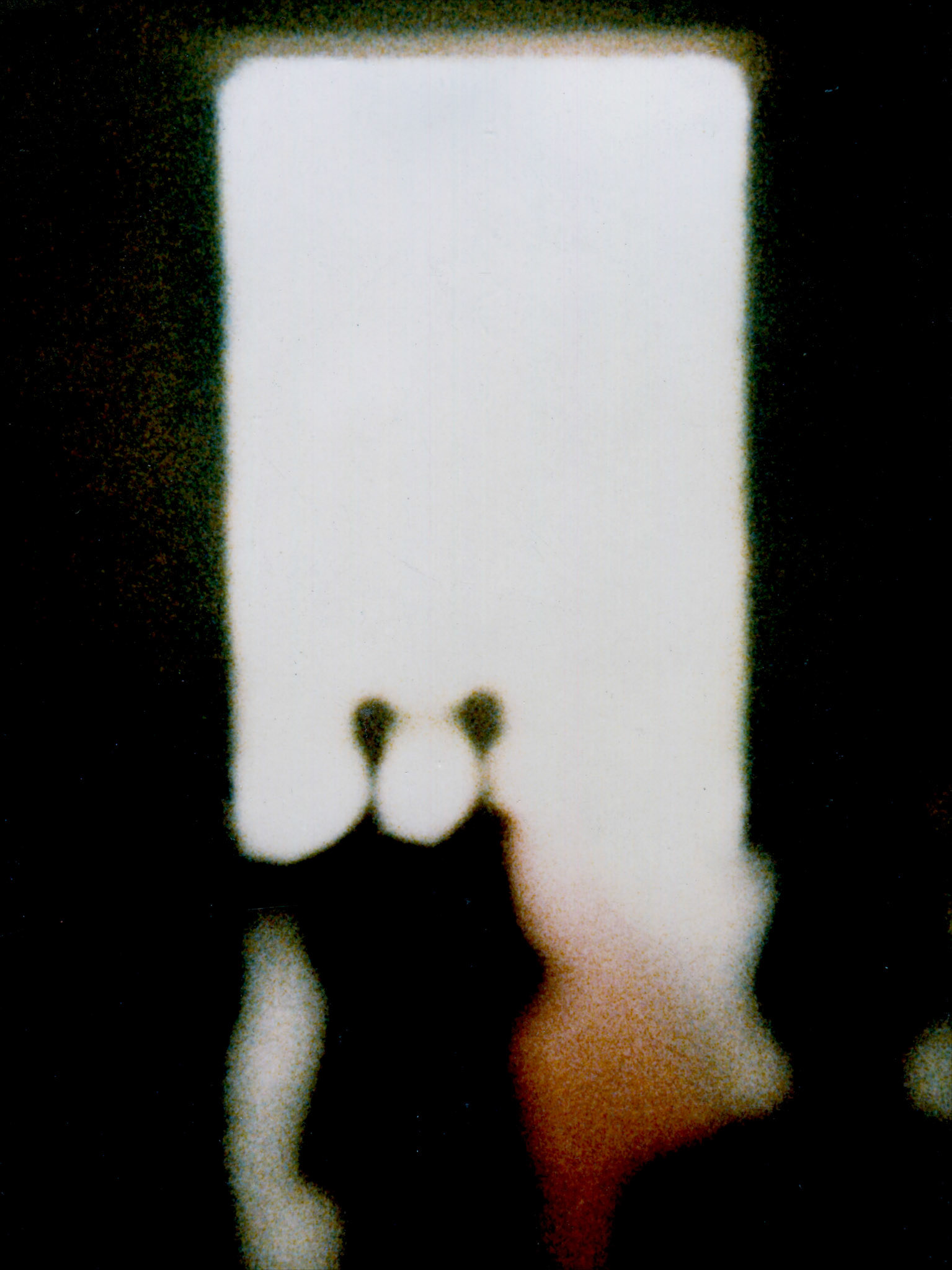 Entrata Libera | ©1986