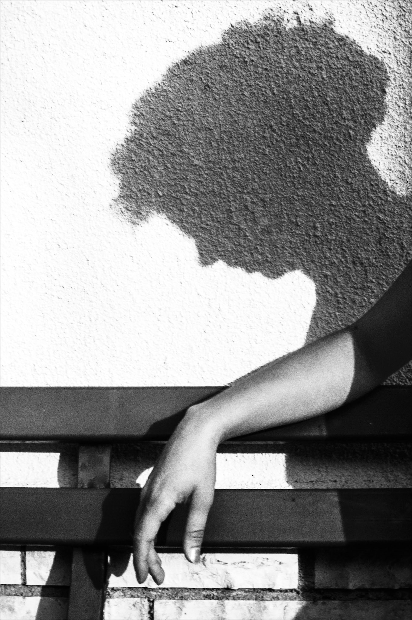 L'eco della Mente ©1987/2020