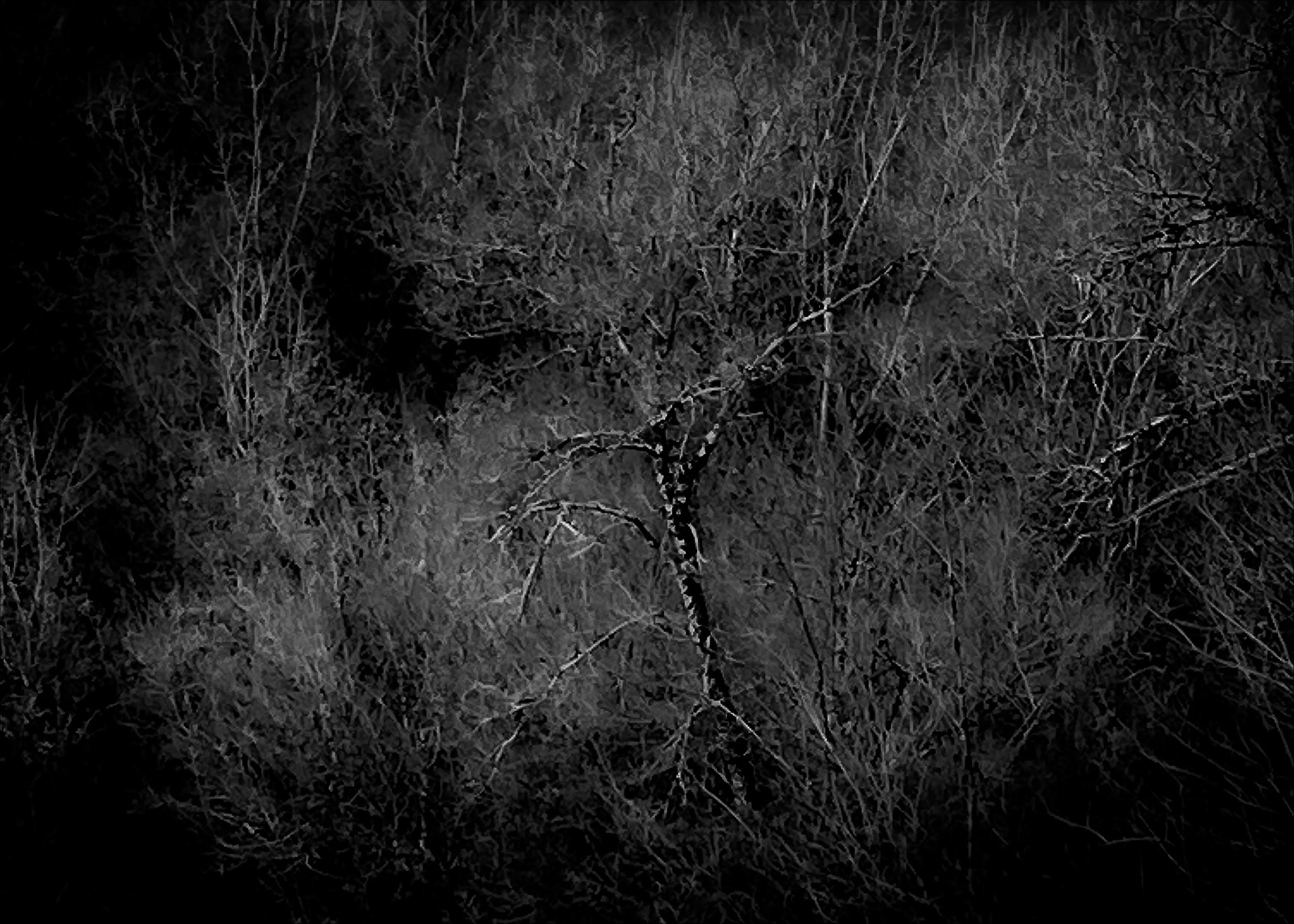  Pulvis Eris | ©2023