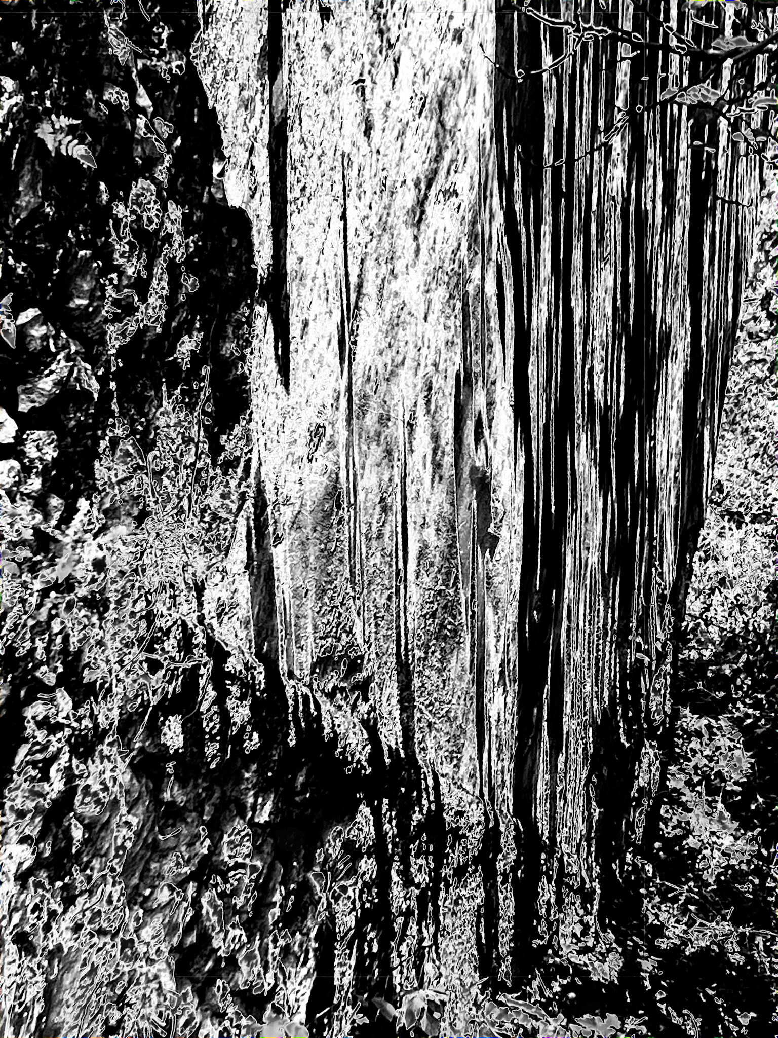 Time-worn wall with cracks, streaks and light-shadow interplay, with moss and stains creating a poetic, ever-changing effect.