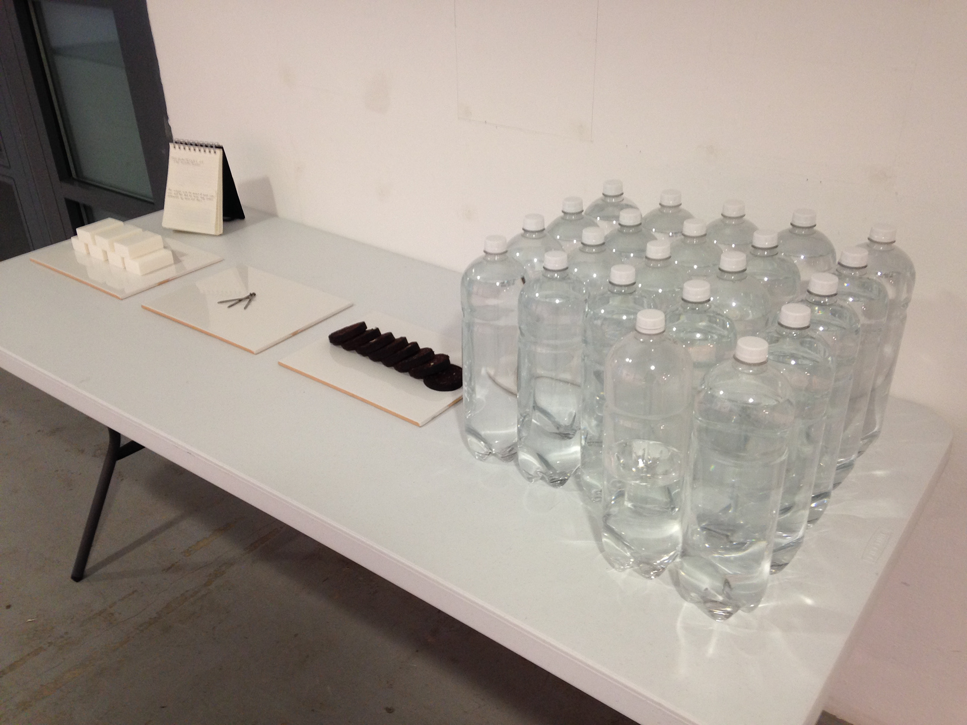 The Quantity of the Human Body 