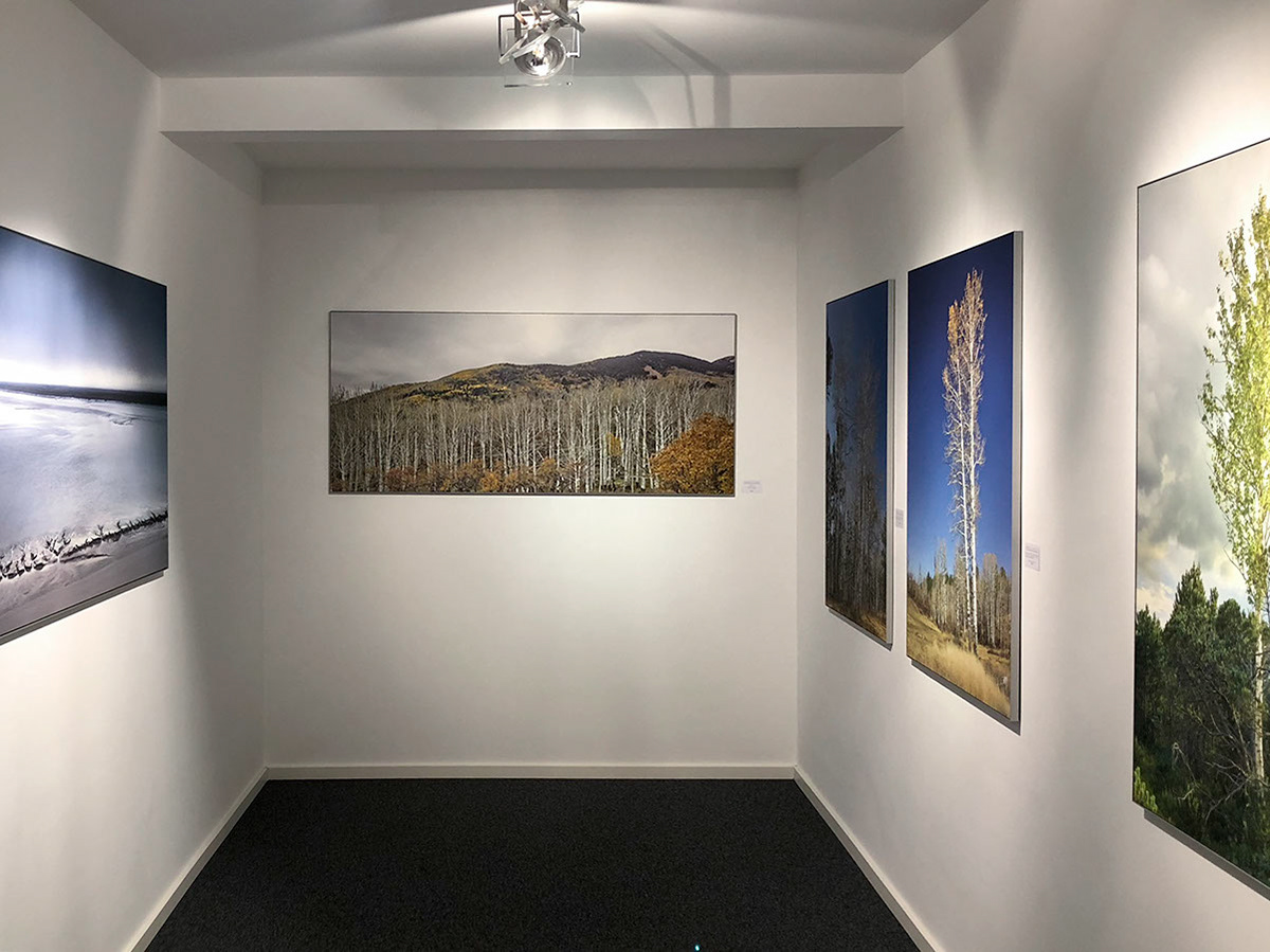 ArtAppletree Ausstellung 07
