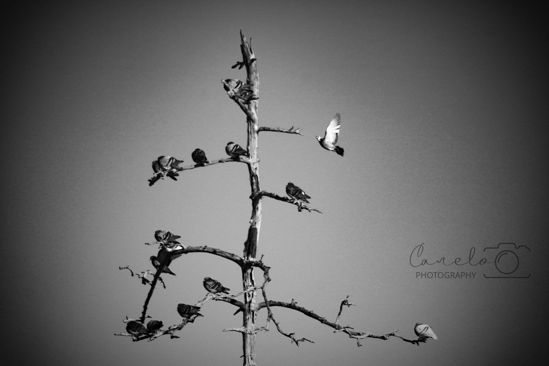 Manasquan Reservoir