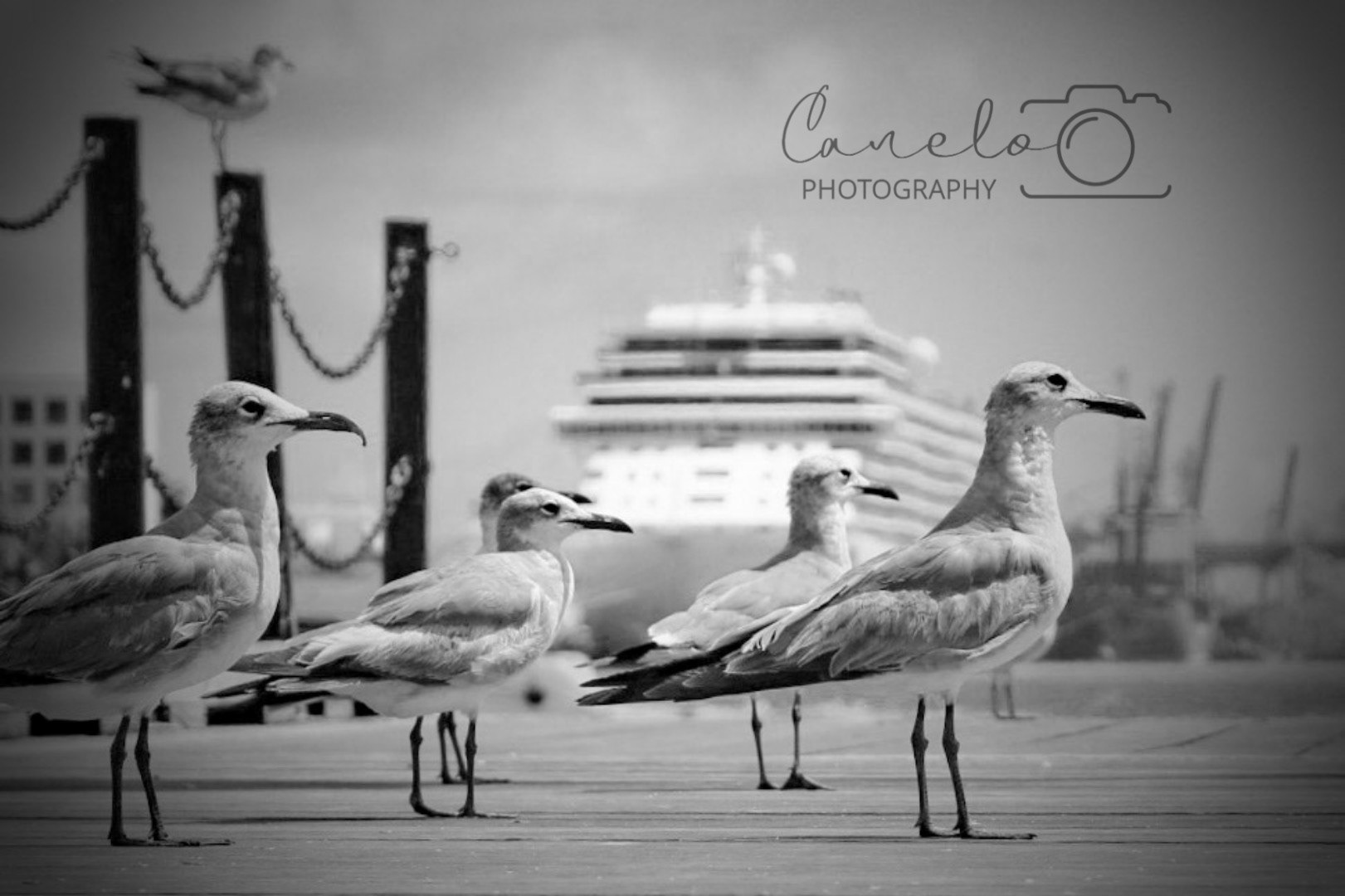 Bayfront Park, Miami