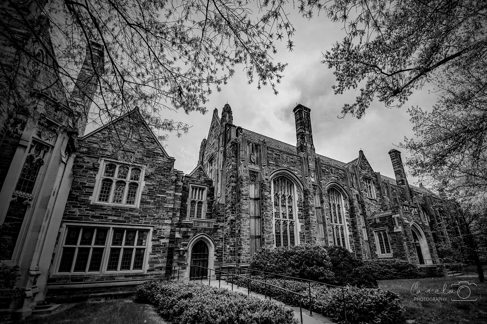 Princeton University