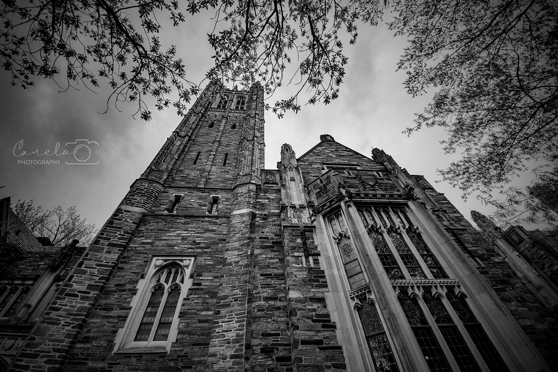 Princeton University