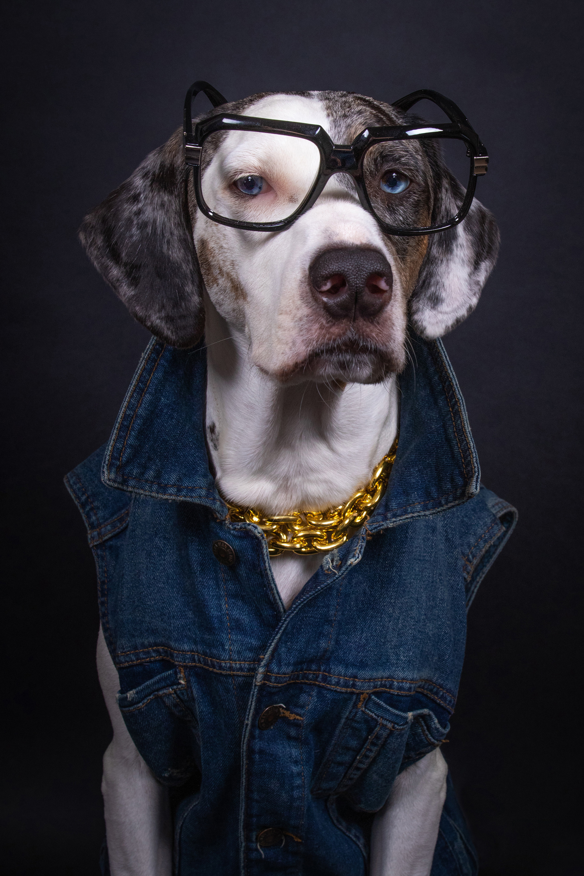 Local Bad Boy, Mucca