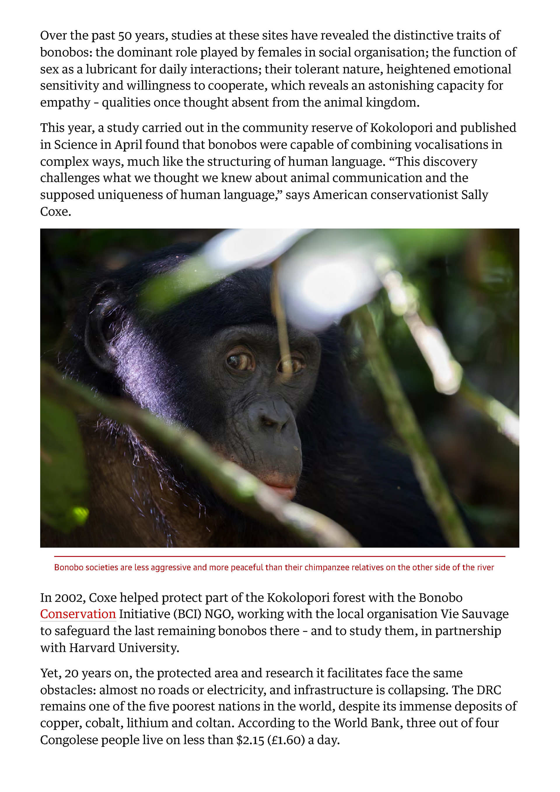 The Guardian - October 2025