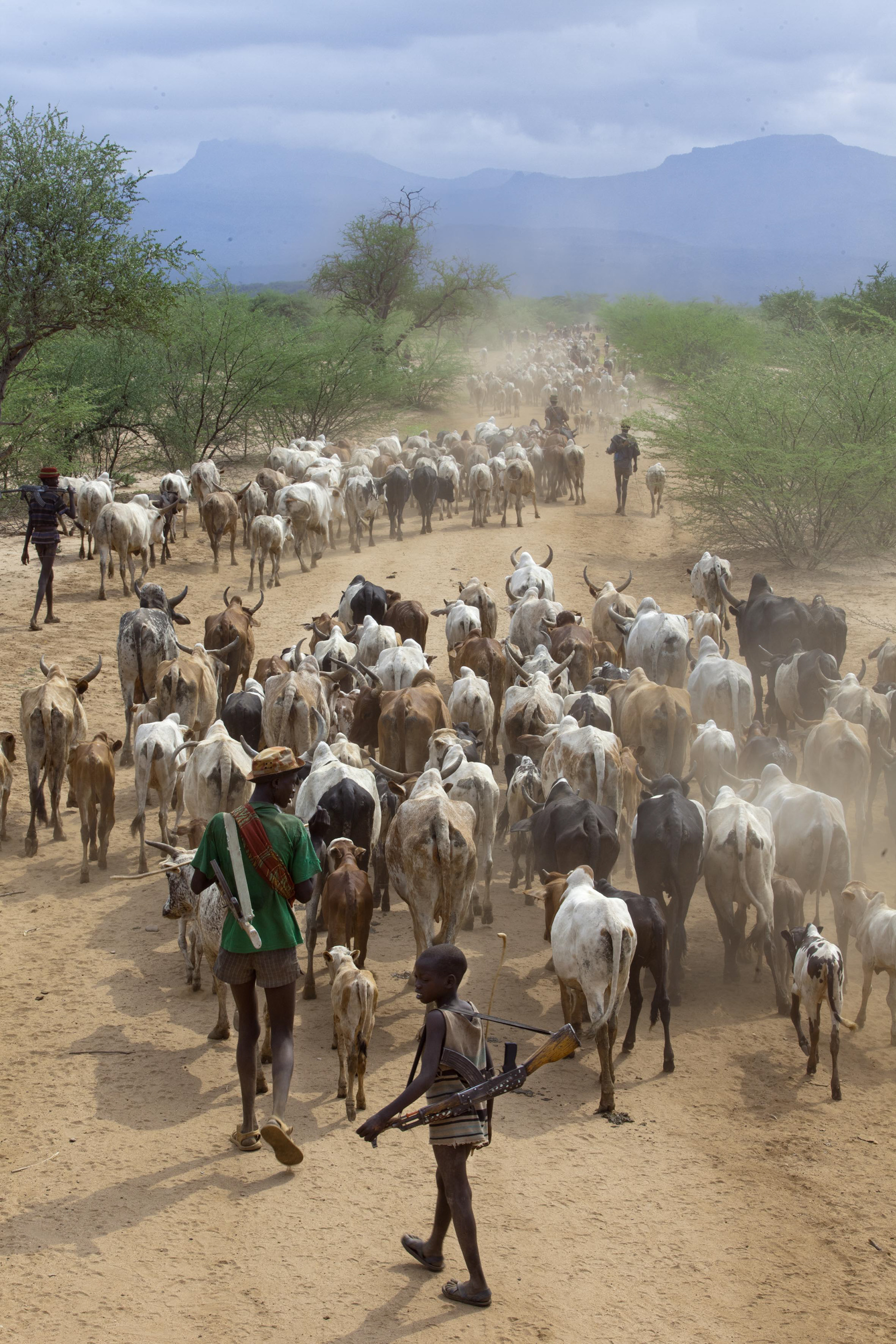 A few kilometres from the South Sudanese border, three Turkanas camps migrate precipitously after being attacked by Toposas.
