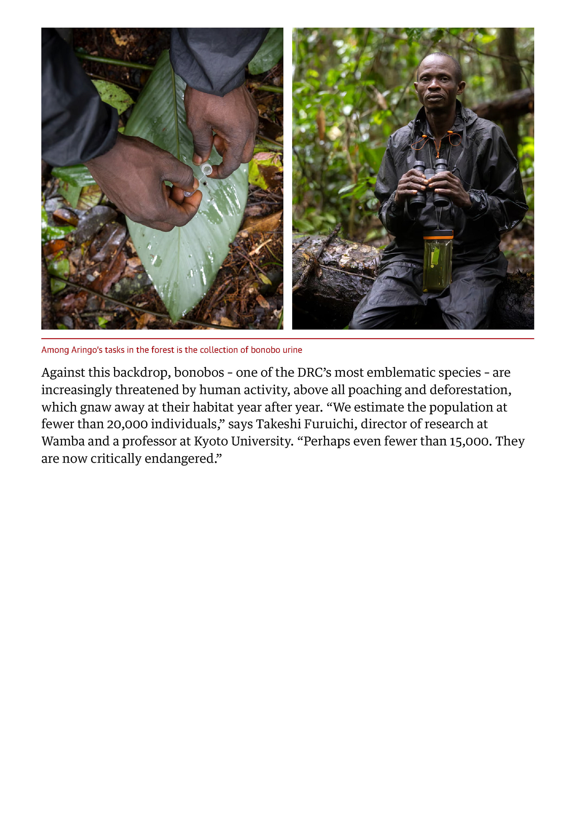 The Guardian - October 2025