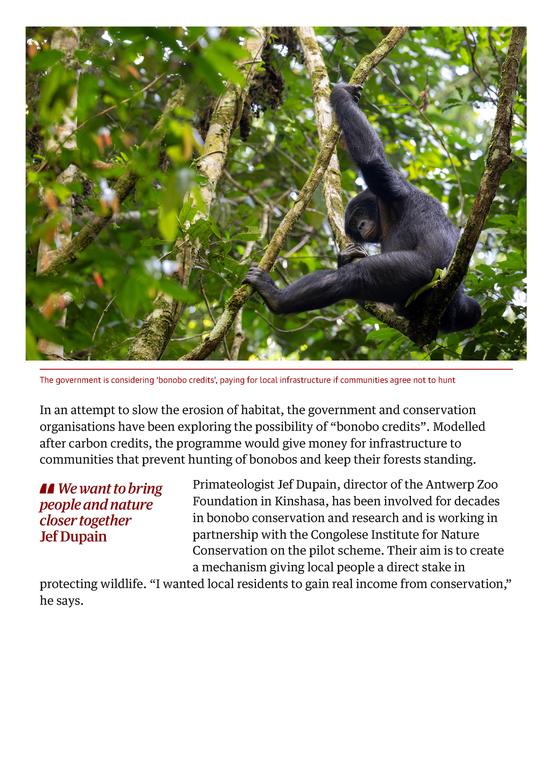 The Guardian - October 2025