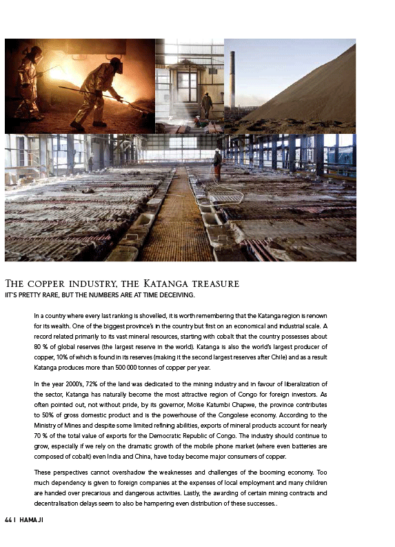 Hamaji n.2 - January 2014