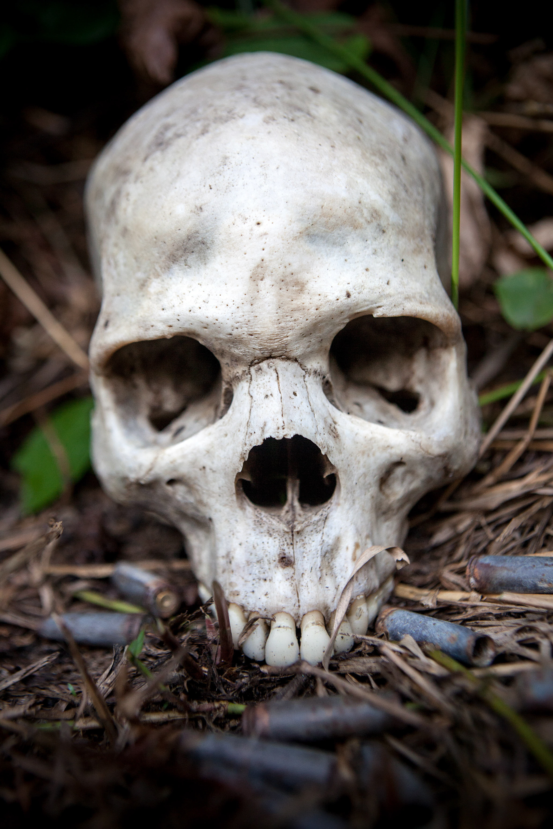 Due to the widespread availability of weapons and ammunitions in the region, a simple quarrel between two rival communities over fishing rights quickly degenerated into an open war. Hundreds of people died and a further 187,000 fled in the neighboring Republic of Congo and in the Central African Republic.
