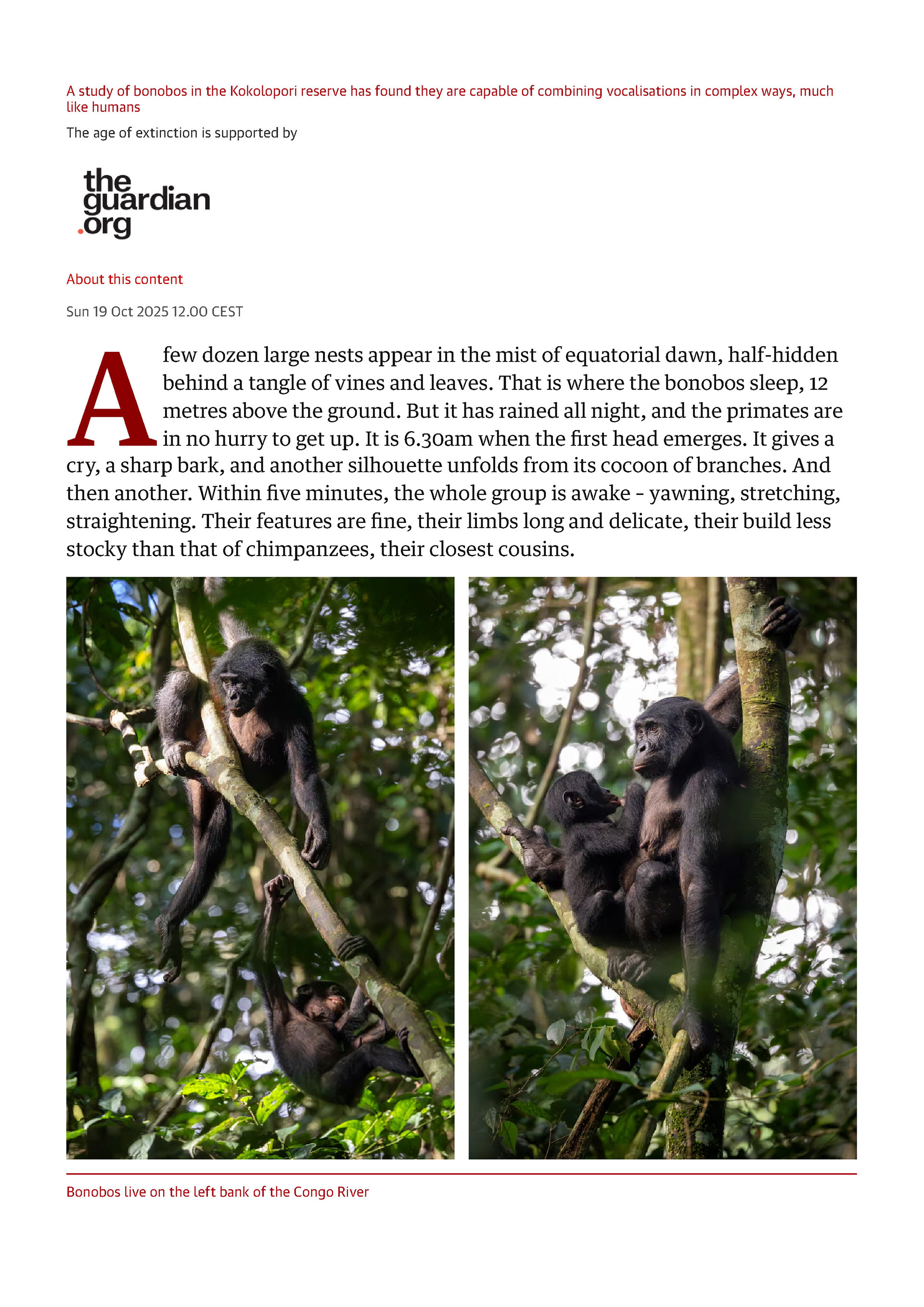 The Guardian - October 2025