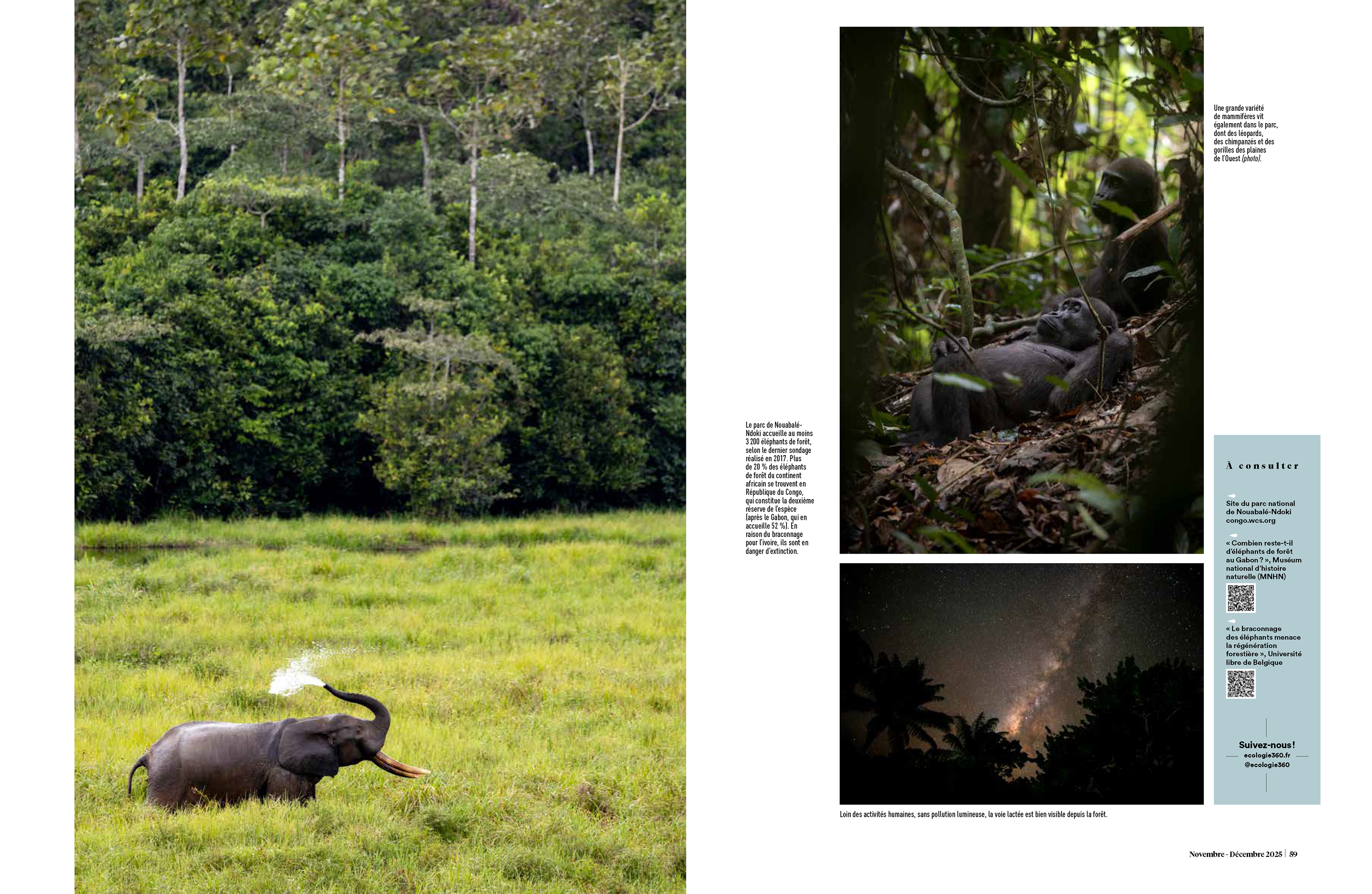Ecologie 360 - November 2025