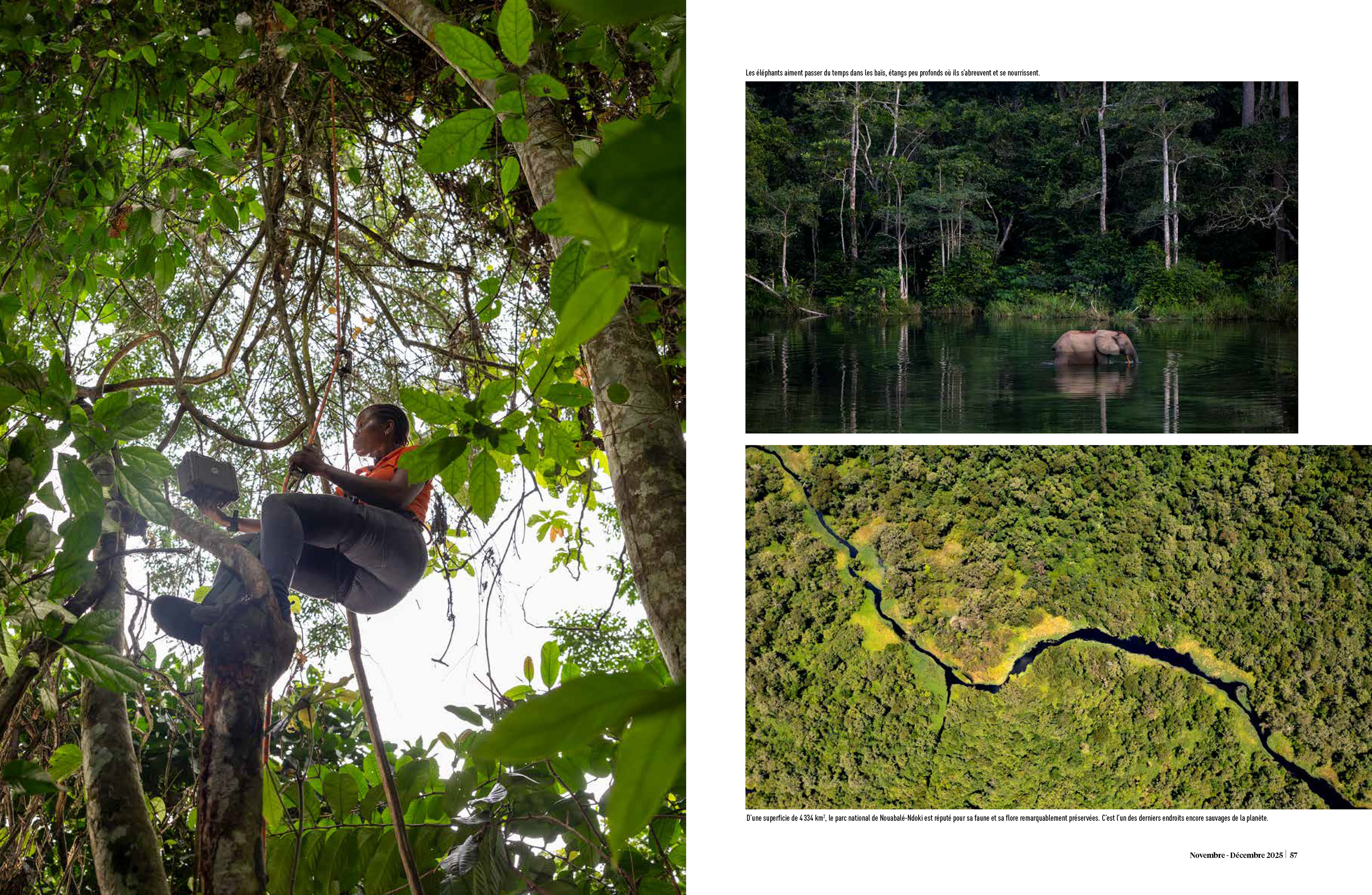 Ecologie 360 - November 2025