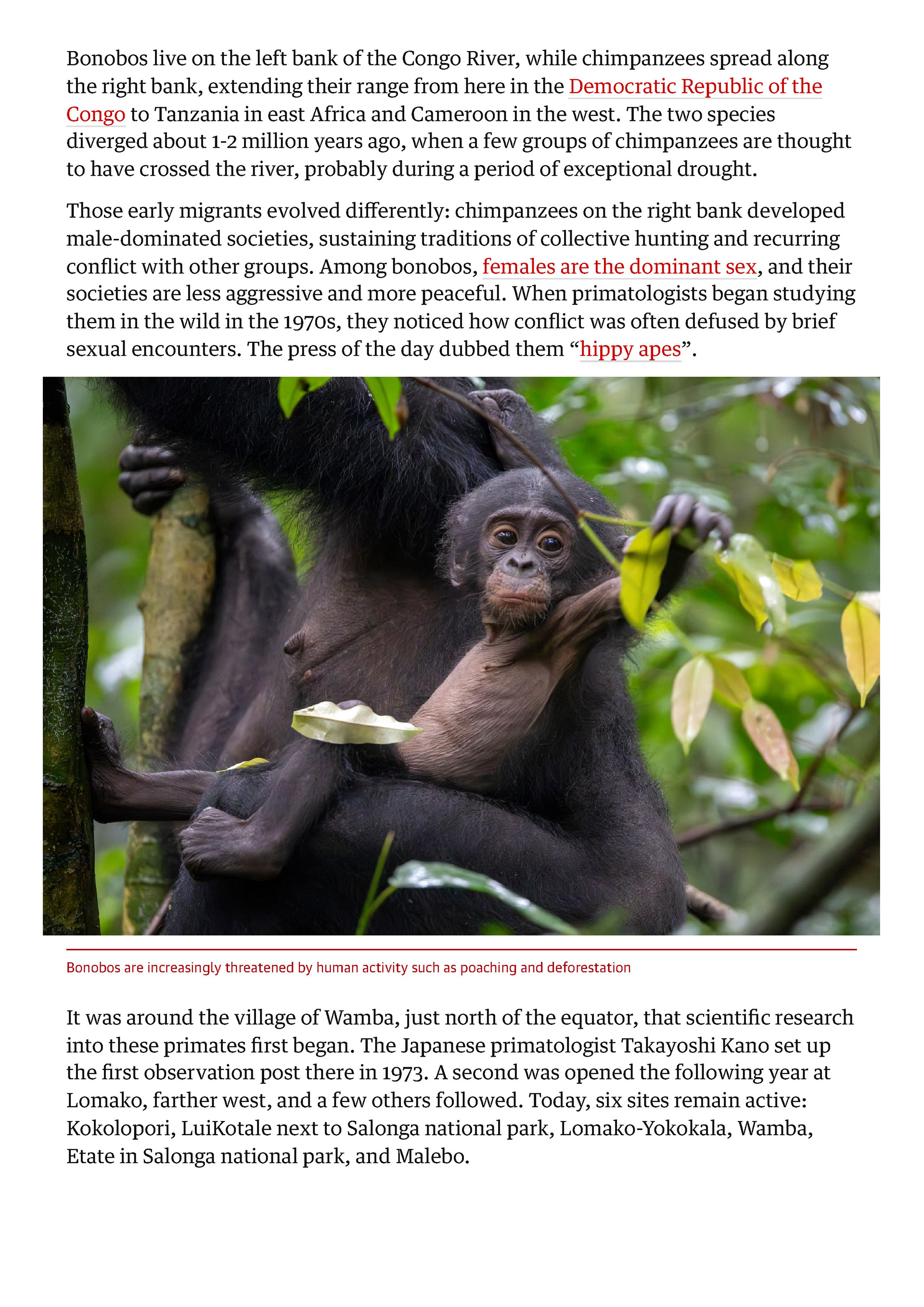 The Guardian - October 2025