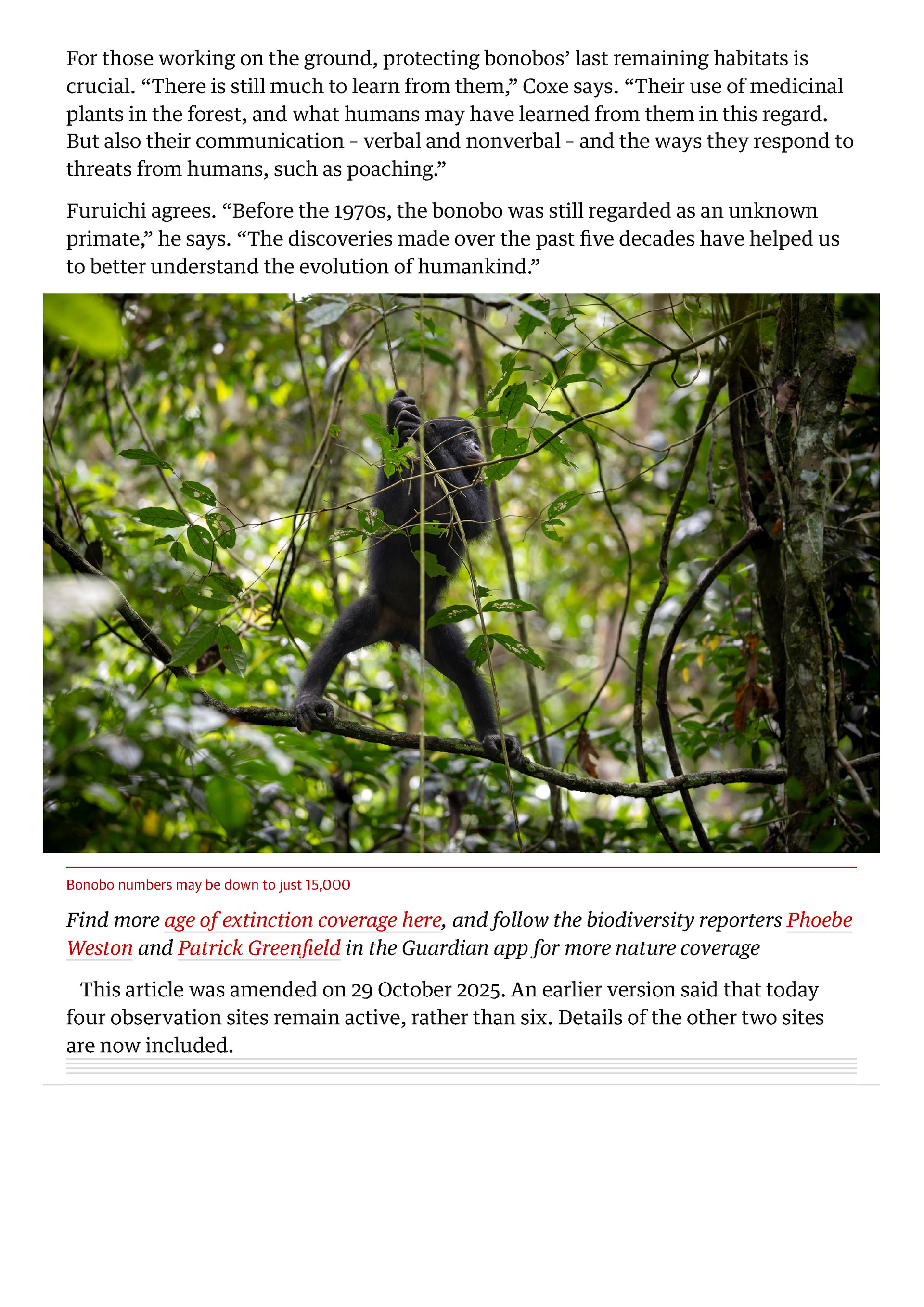 The Guardian - October 2025