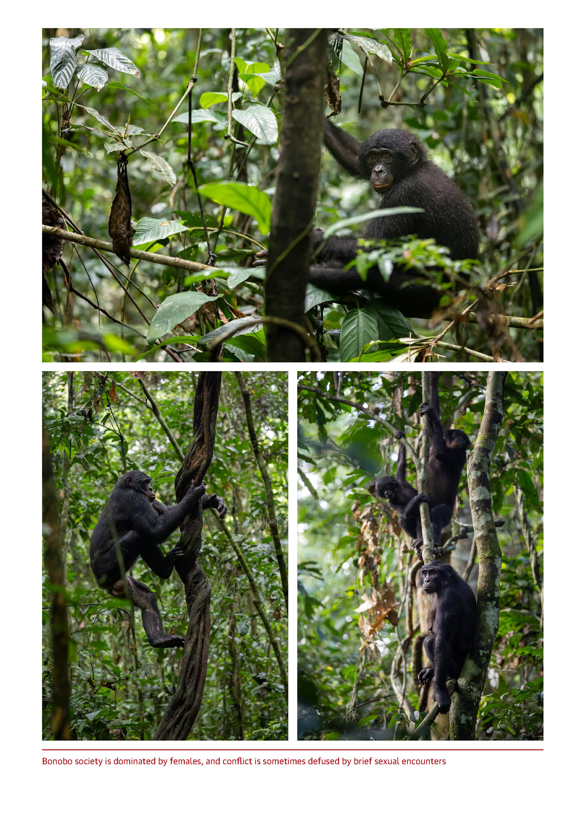 The Guardian - October 2025