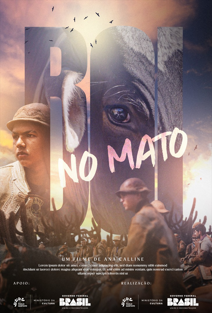 Boi No Mato, ana Calline (2024)