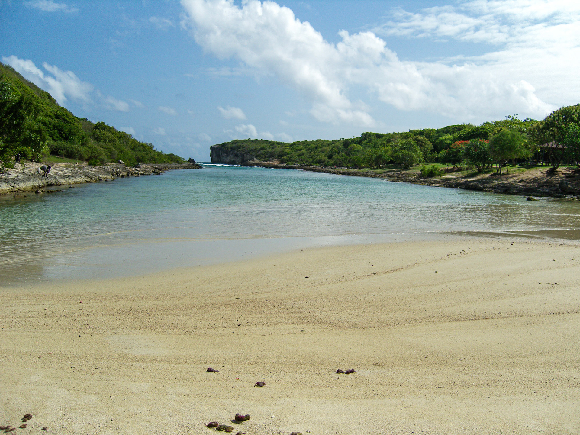 SAMSUNG DIGITAL CAMERA