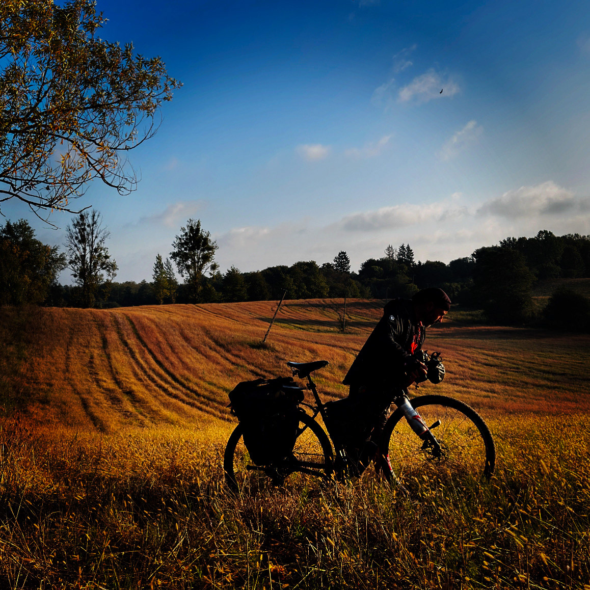 Mazury