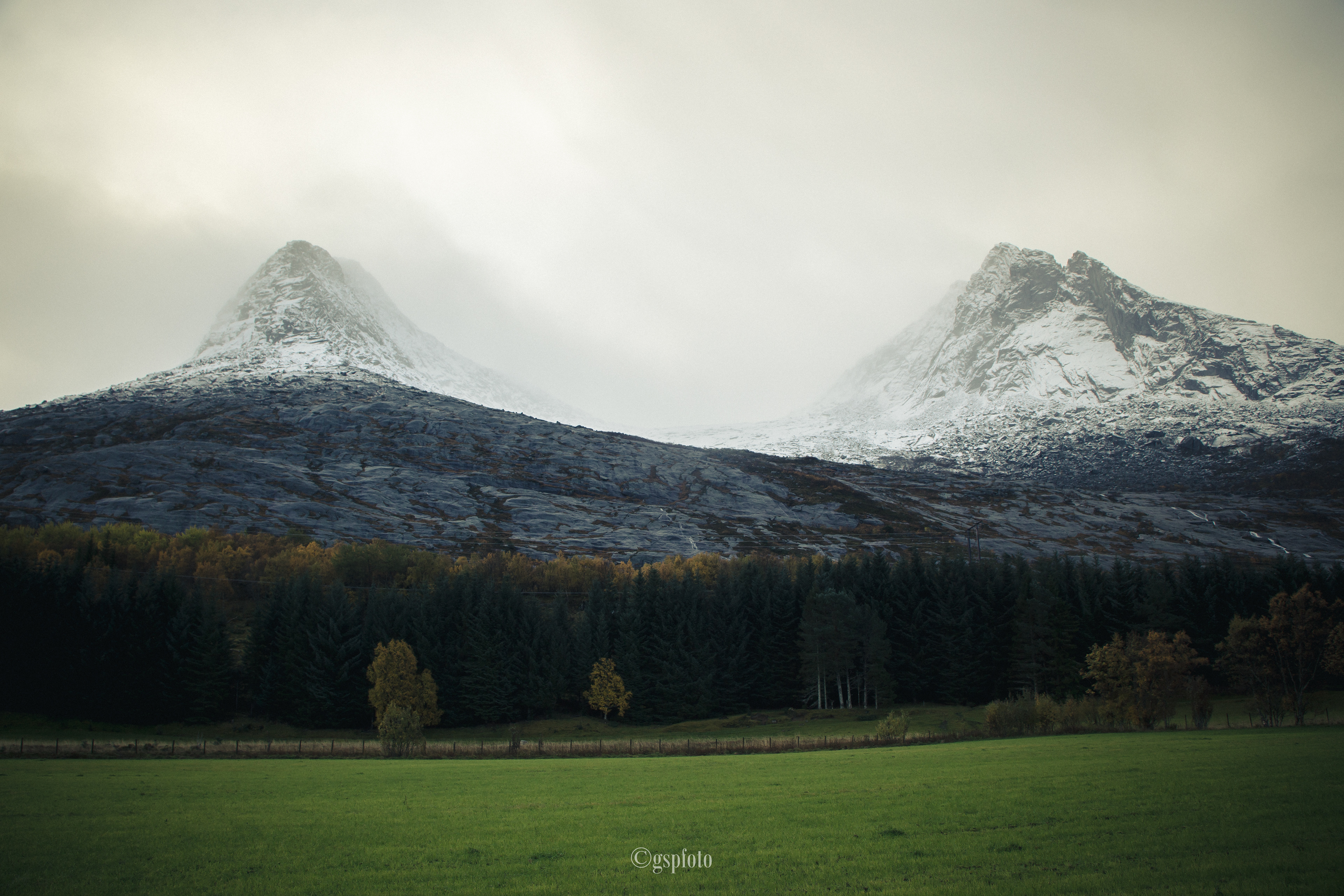 Skjeringen og Tvillingene