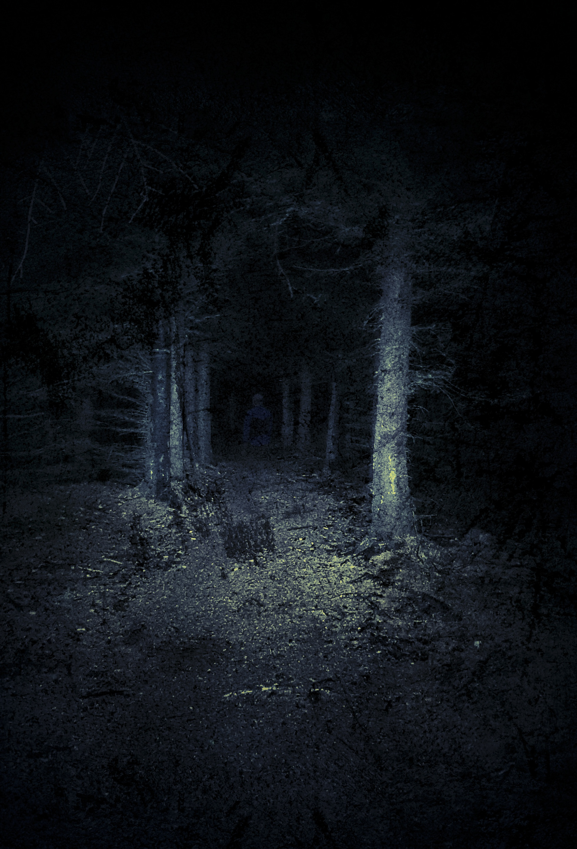 Trollskog - Sandnessjøen