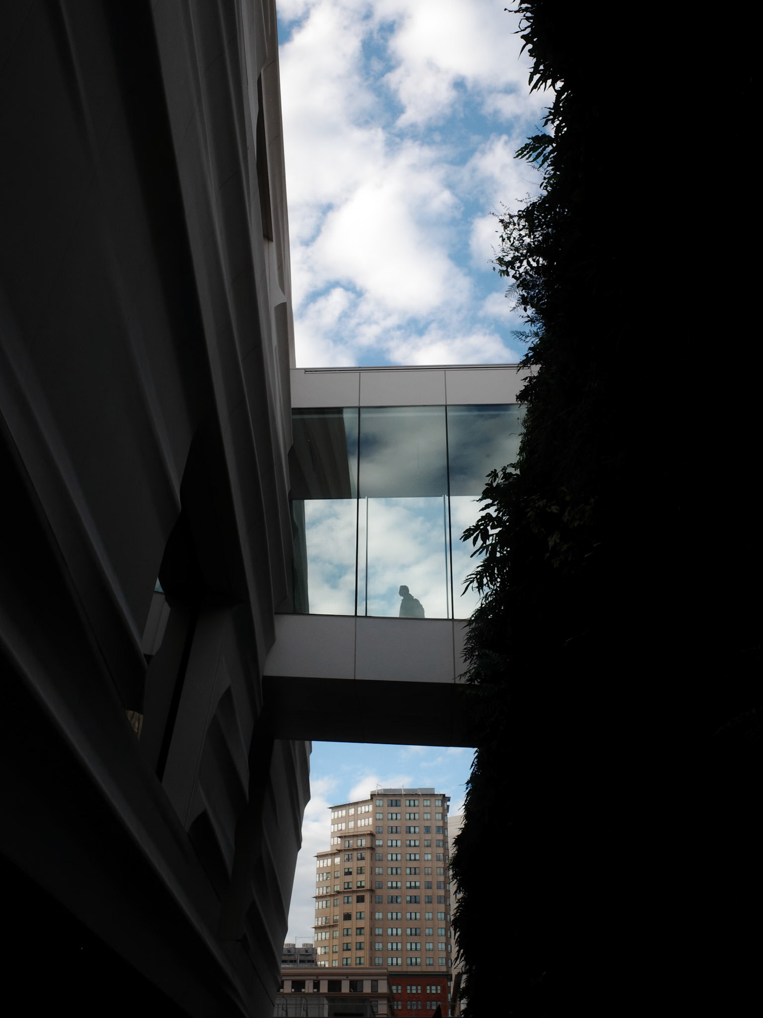 San Francisco / 2024 / Digital