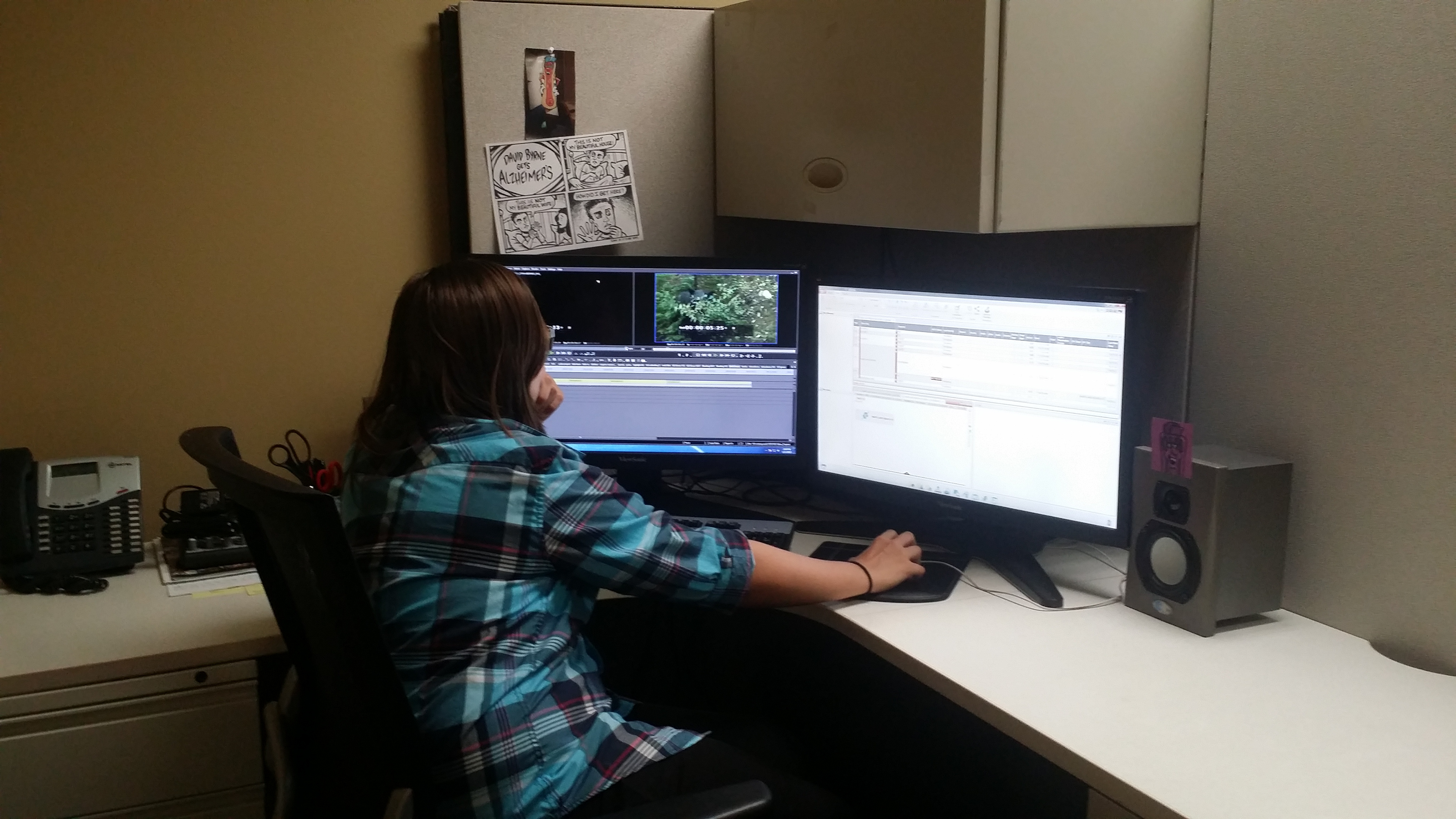 2017 My Editing Co-worker