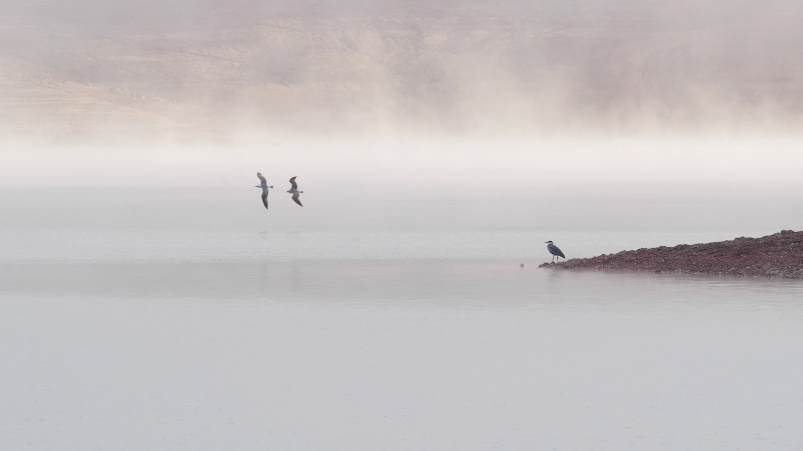 Sau Reservoir, Catalunya