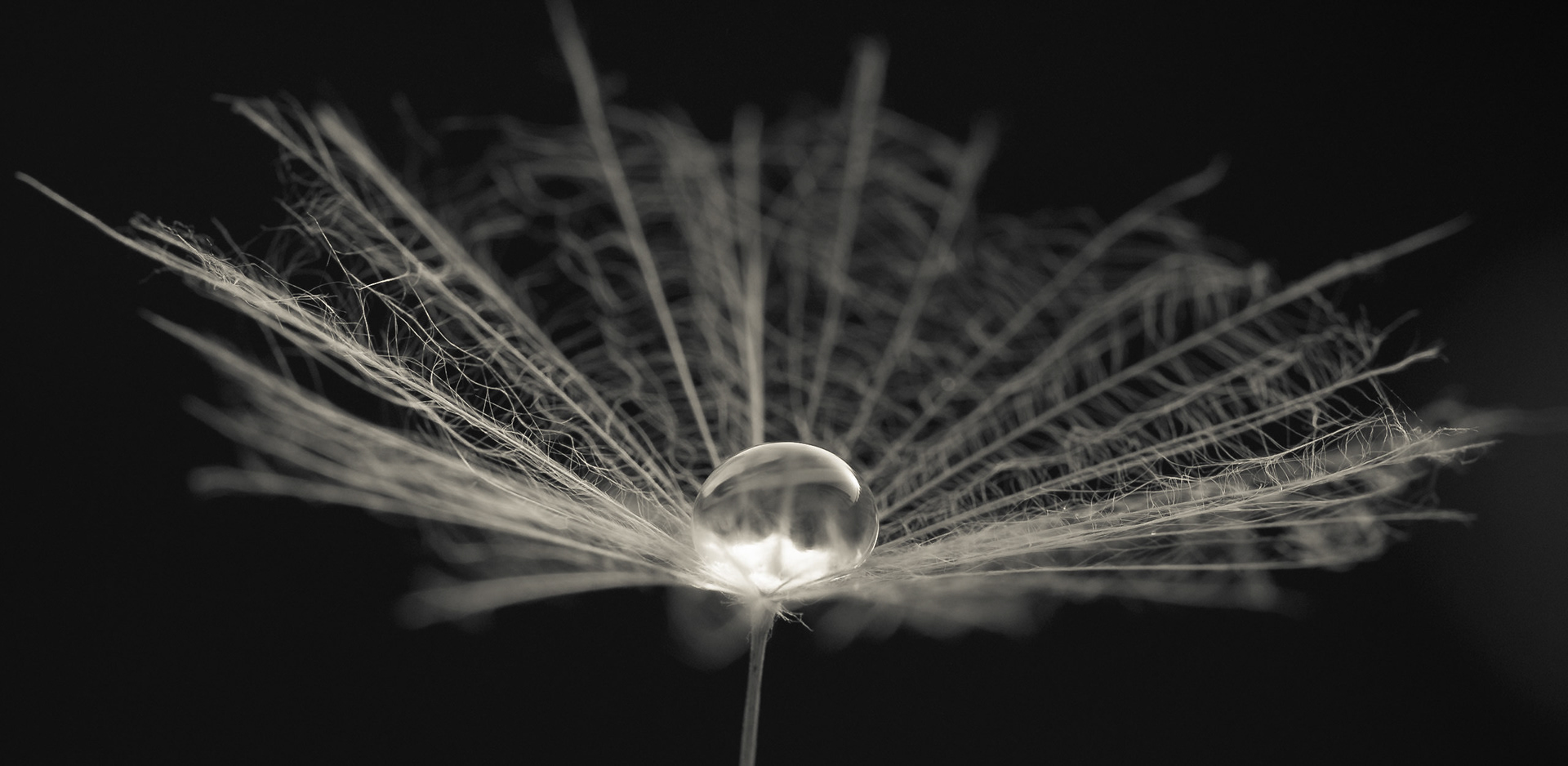 Macrophotography
